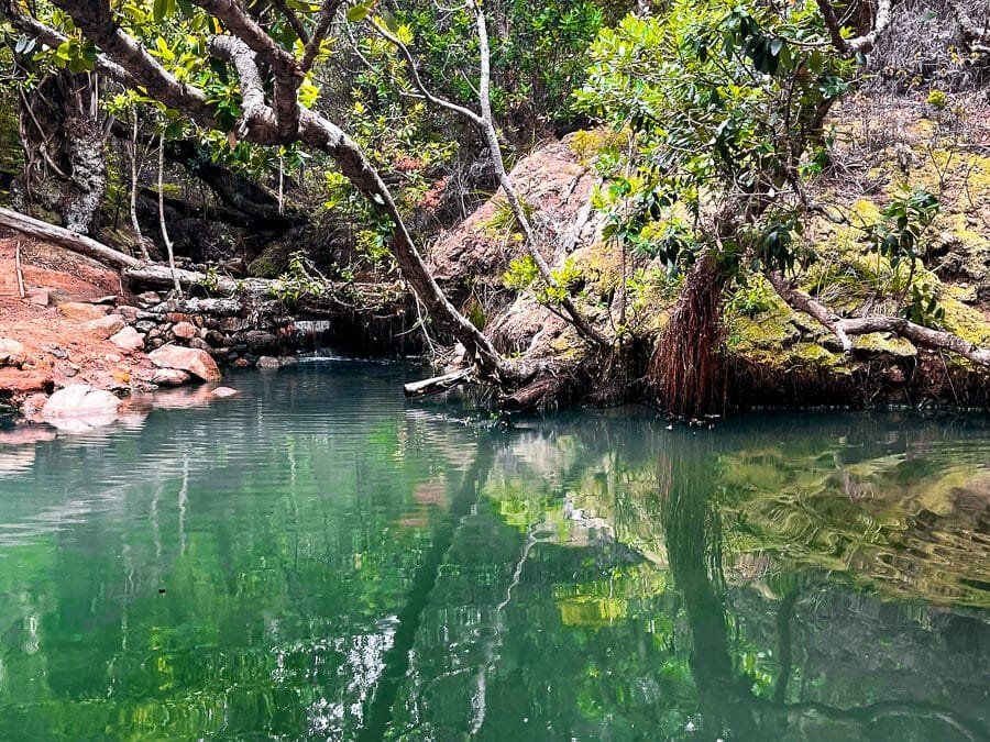 Kaitoke Hot Springs