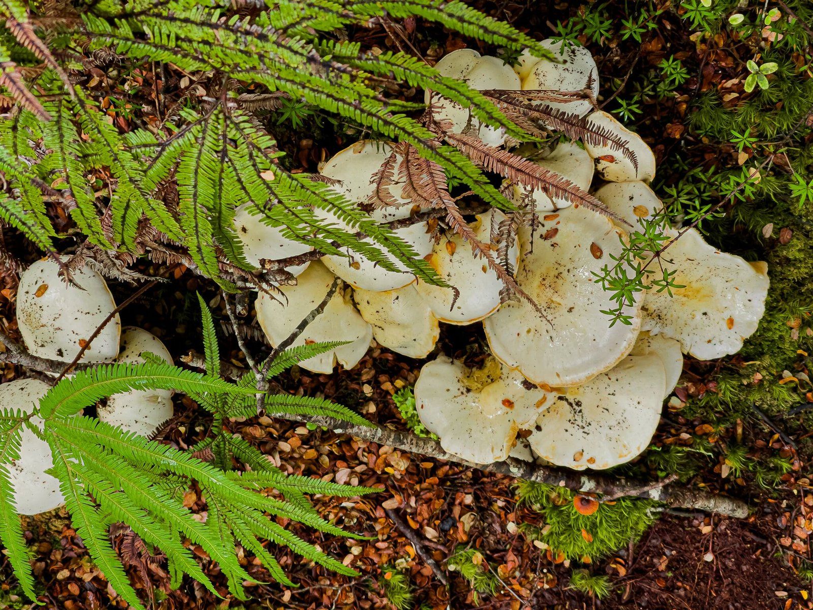 Image 11 of 11
