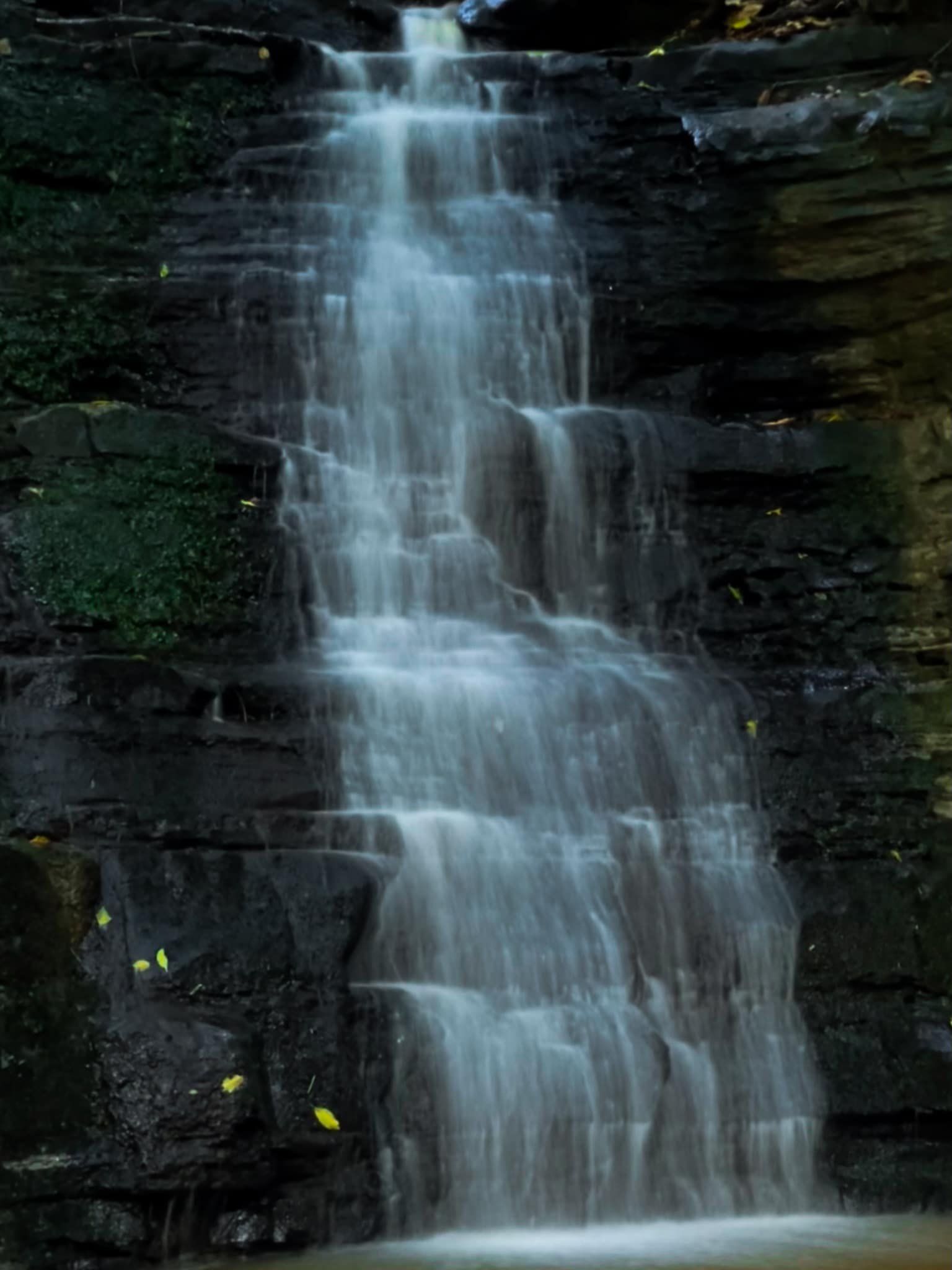 Image 1 of 12