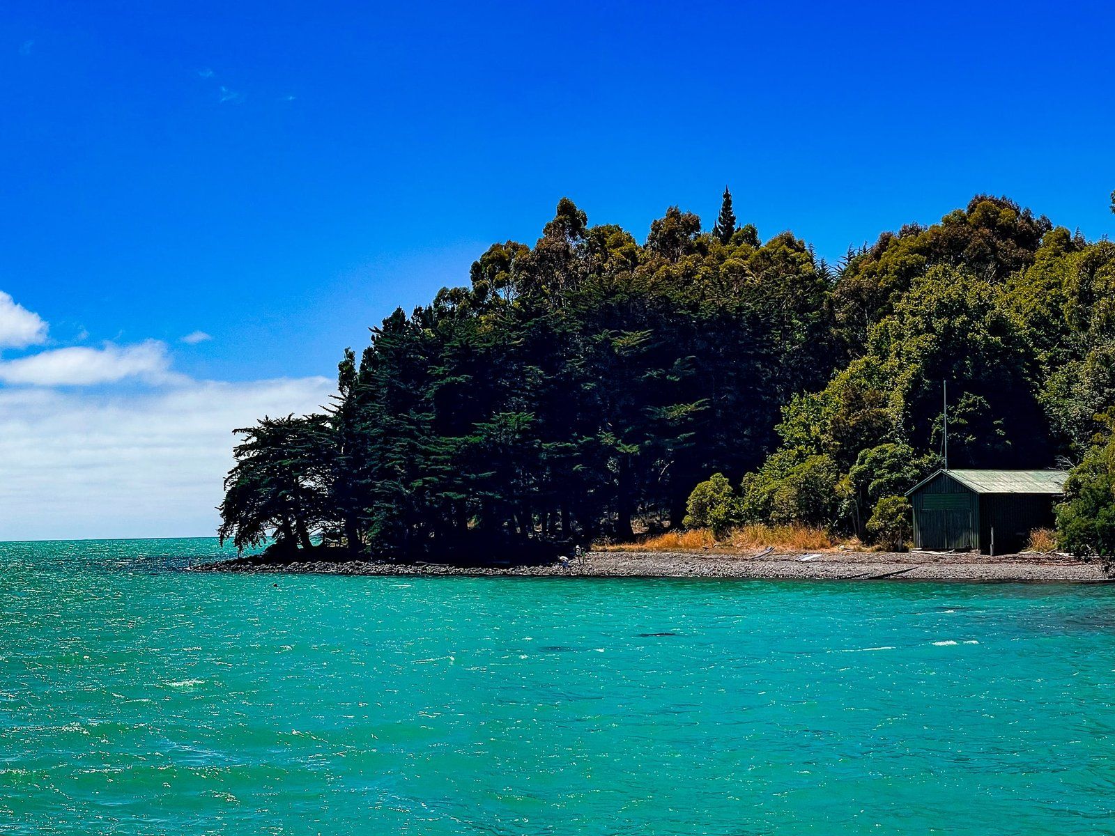 Image 9 of 11