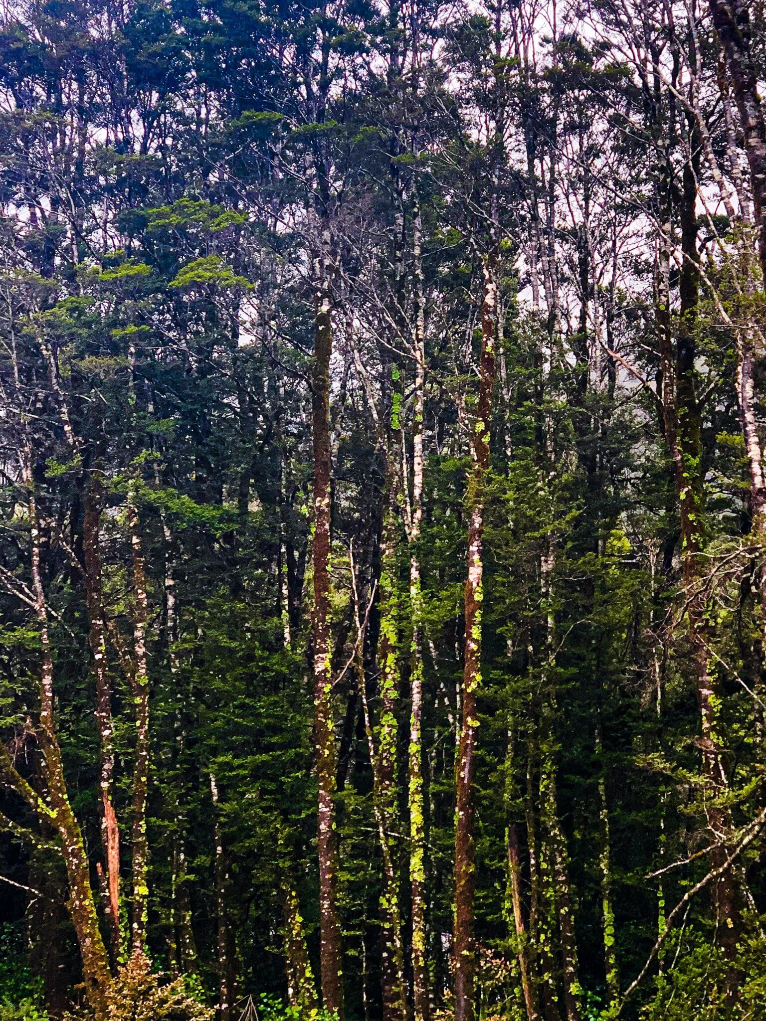 Image 9 of 10
