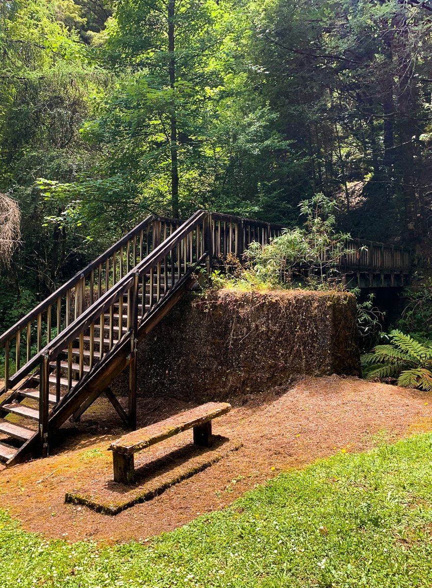Image 3 of 8
