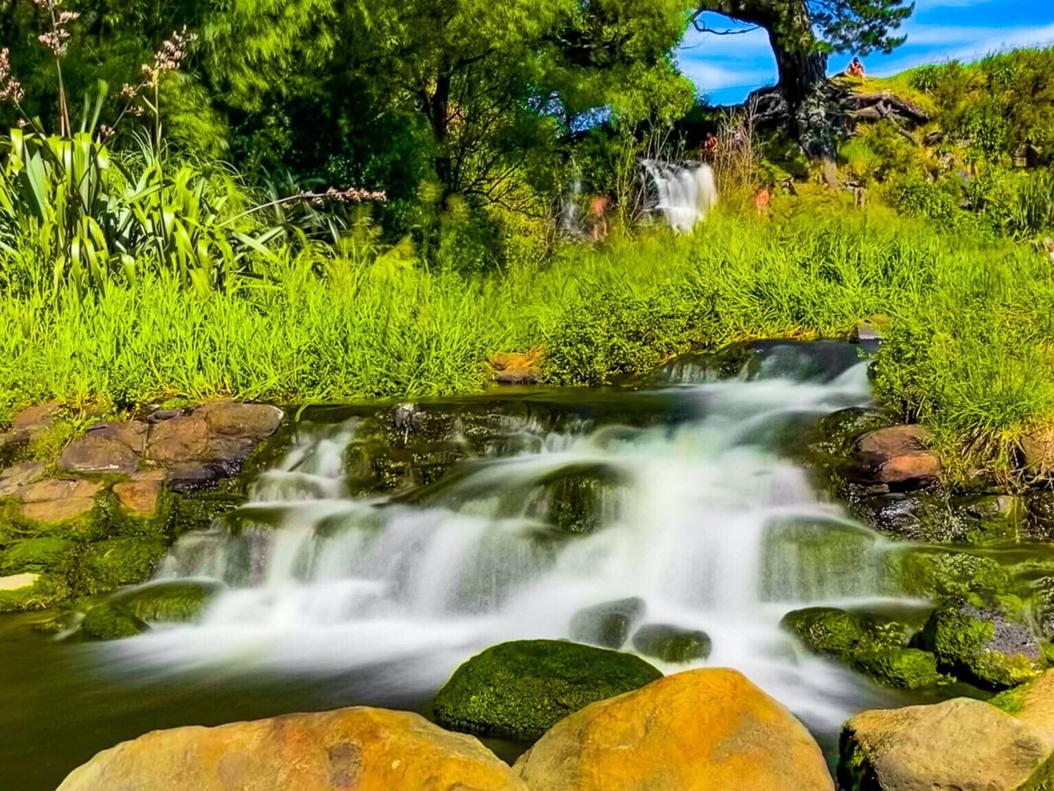 Waitangi Falls