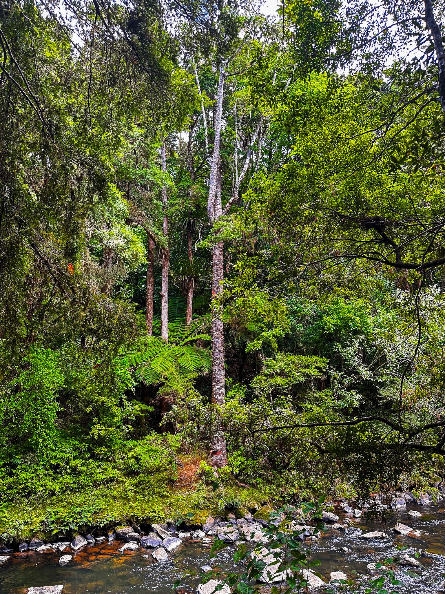 Image 8 of 11