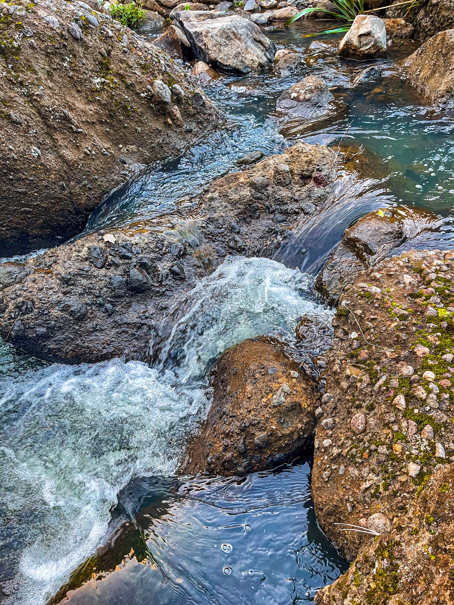 Image 8 of 8