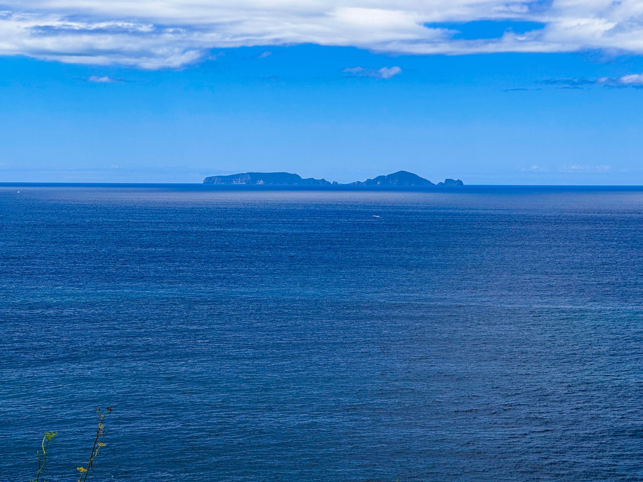 Image 7 of 10