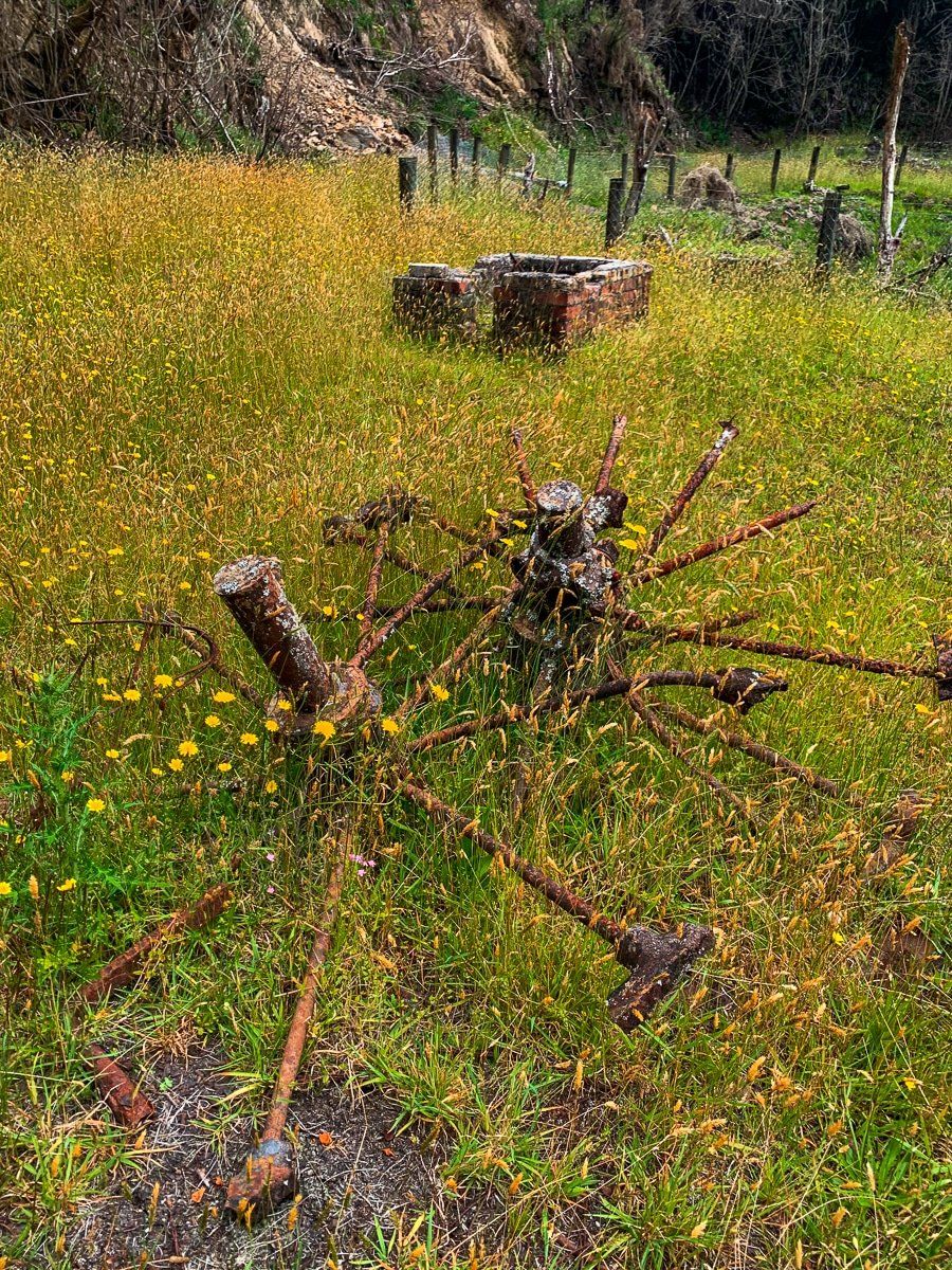 Image 4 of 7