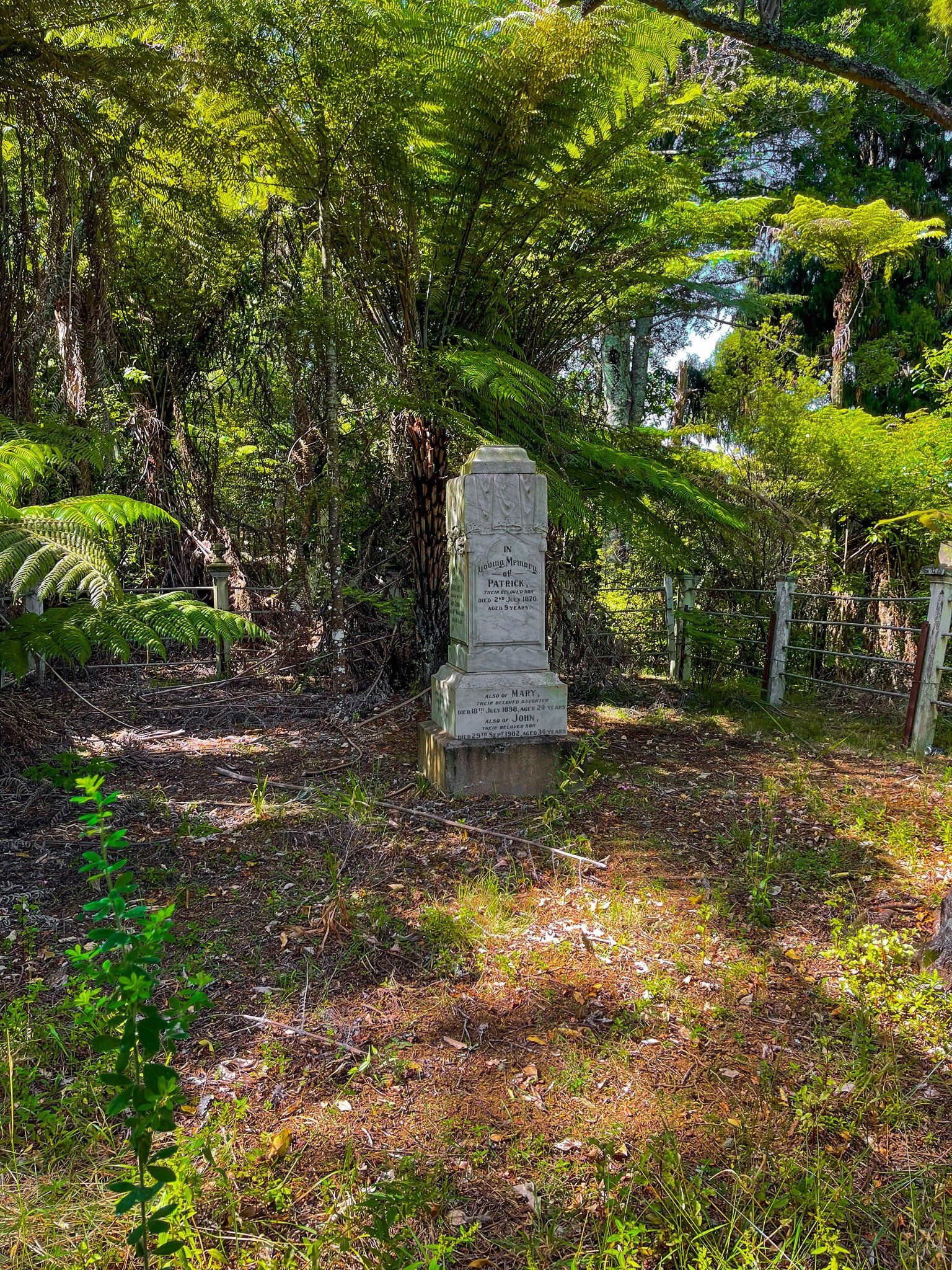 Image 8 of 10