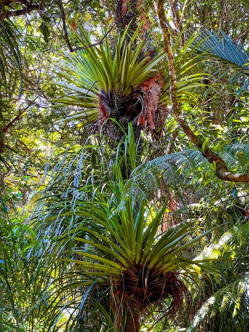 Image 10 of 10