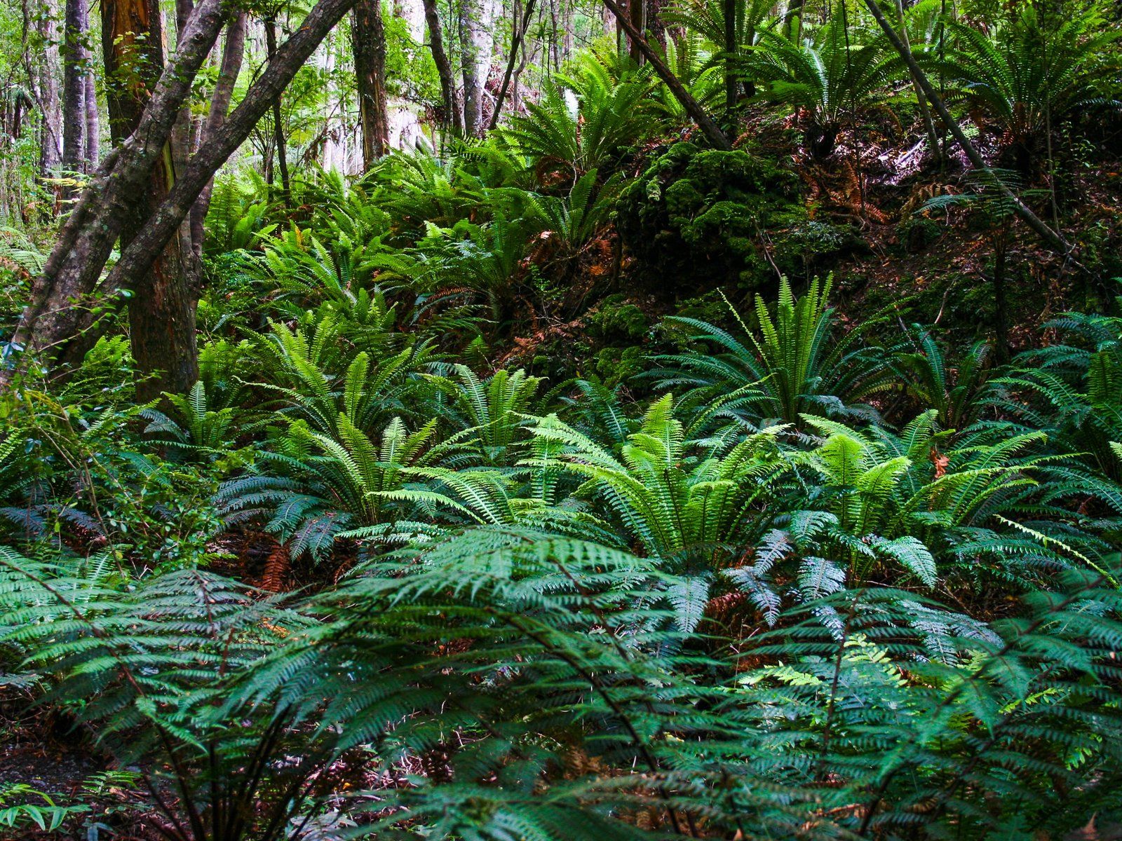 Image 8 of 10