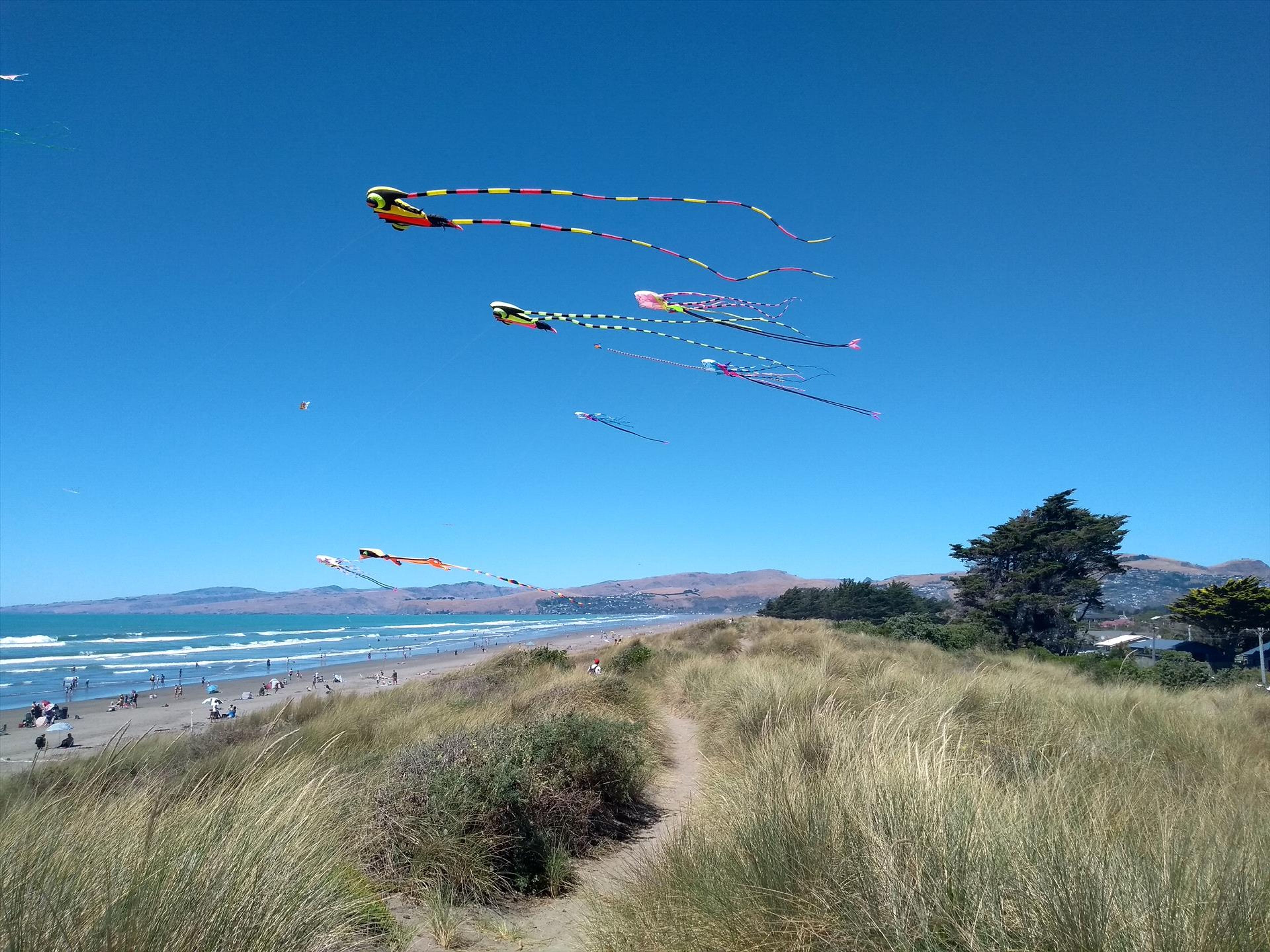 South Brighton Holiday Park 