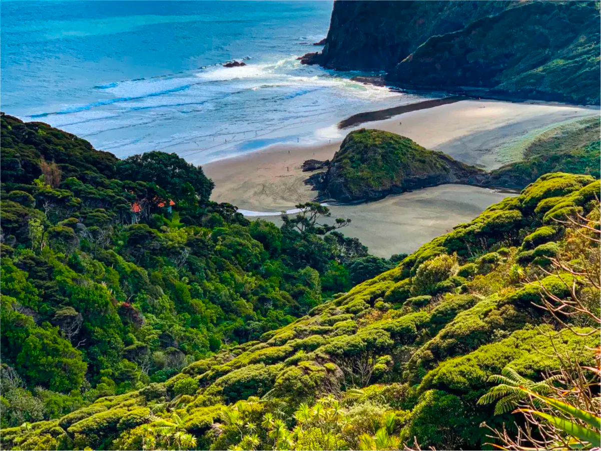 Island Image