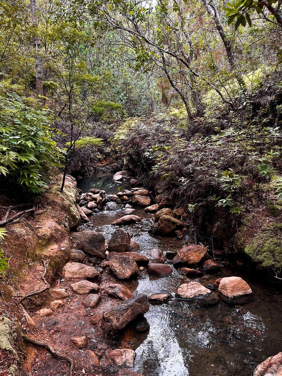 Image 7 of 8