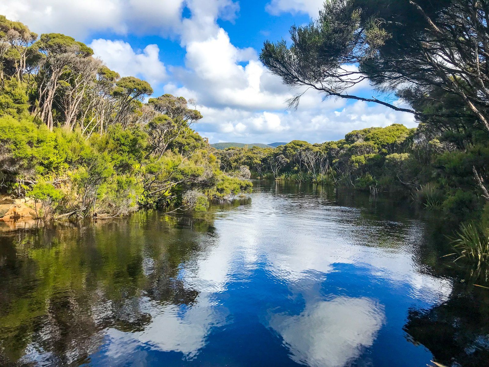 Image 9 of 10