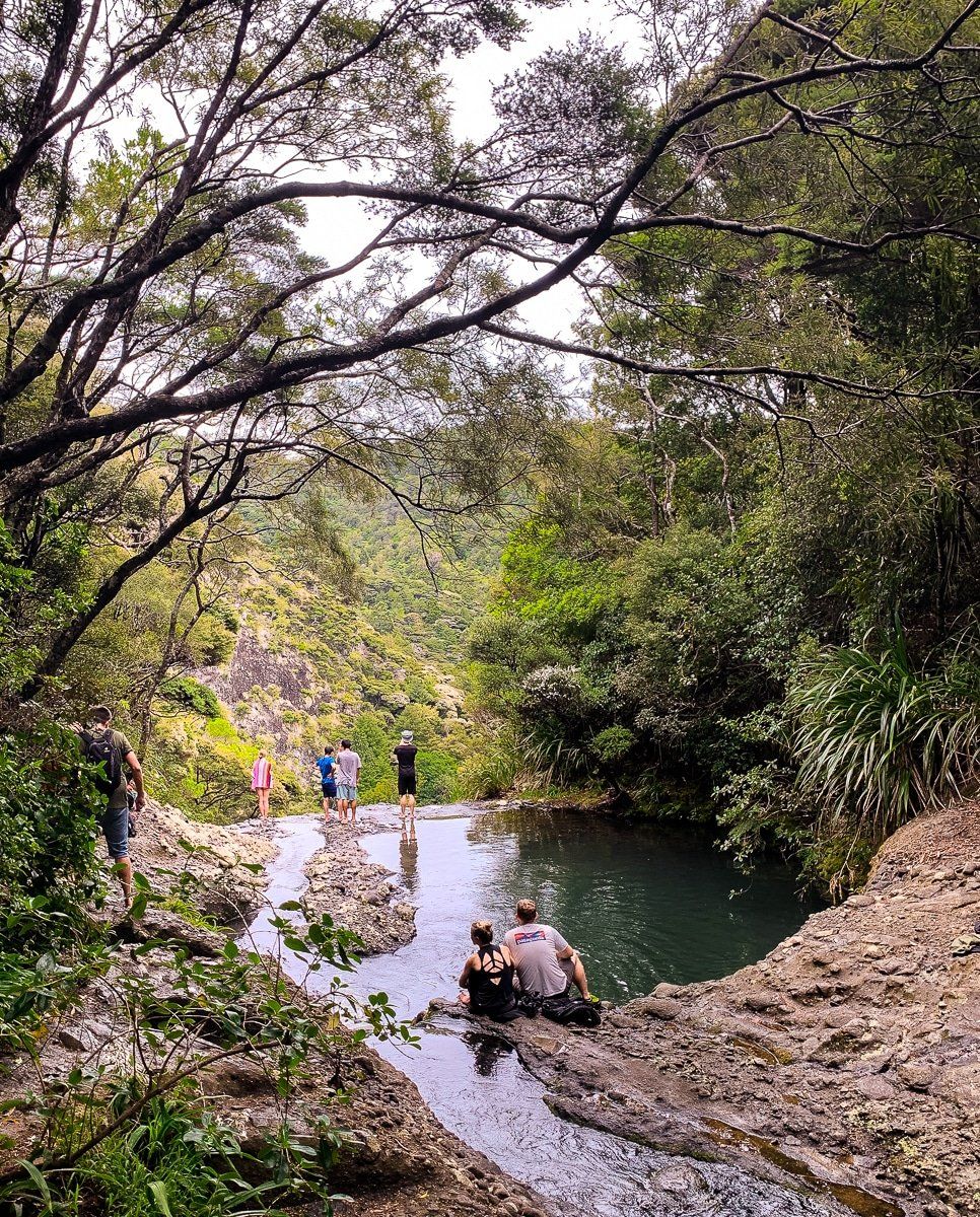 Image 7 of 8