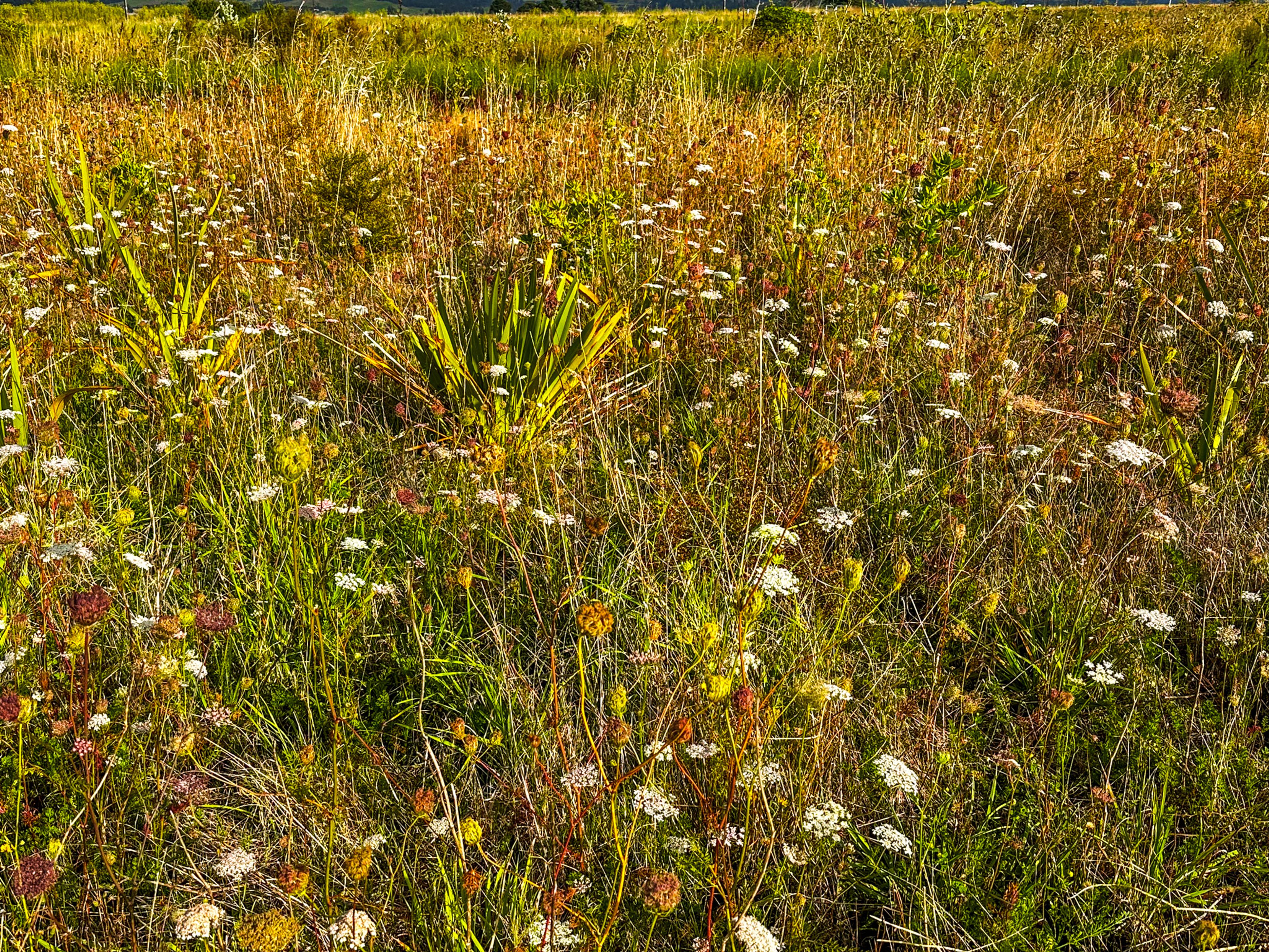 Image 9 of 10