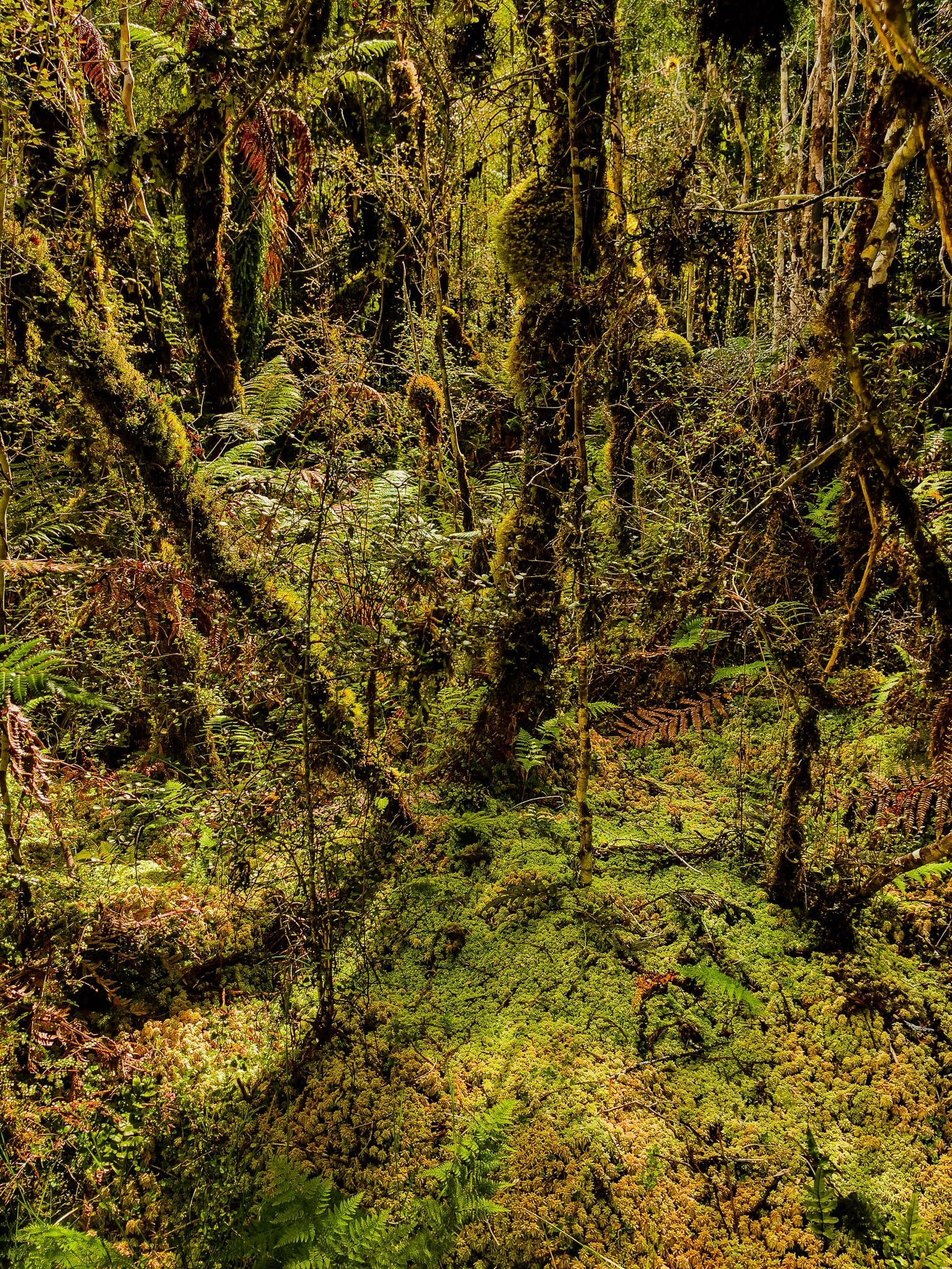 Image 8 of 9