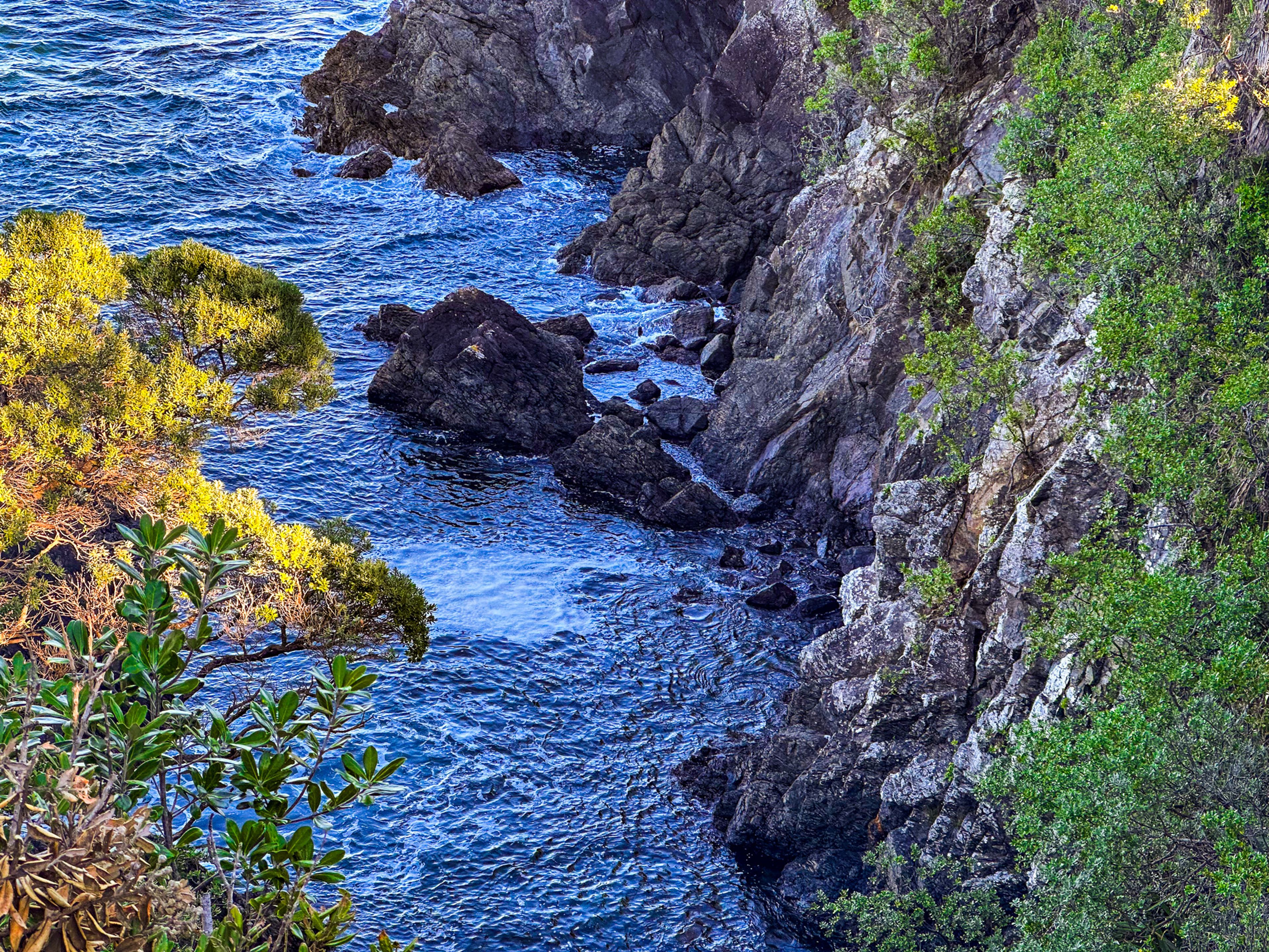 Image 7 of 10