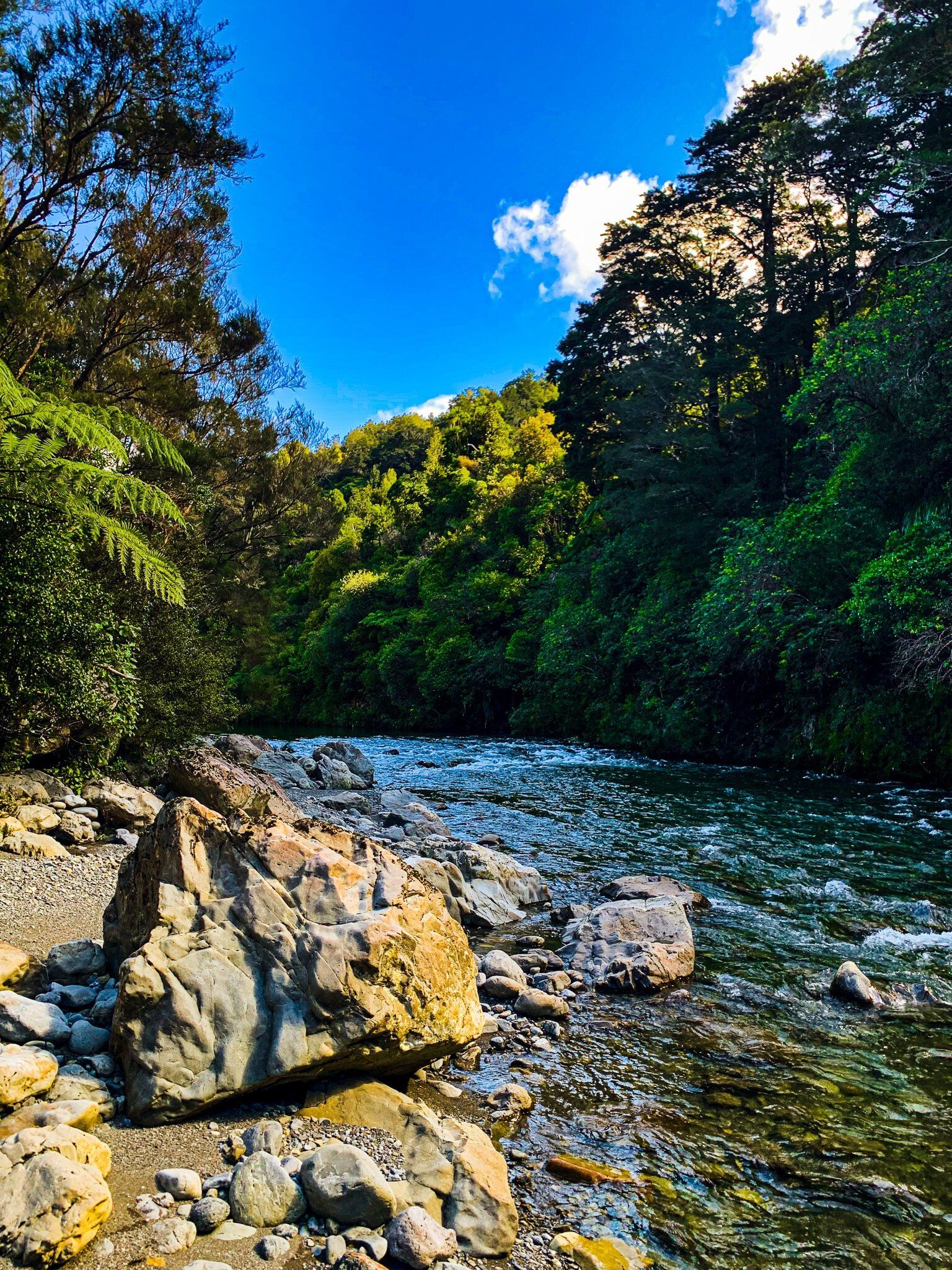 Image 4 of 9