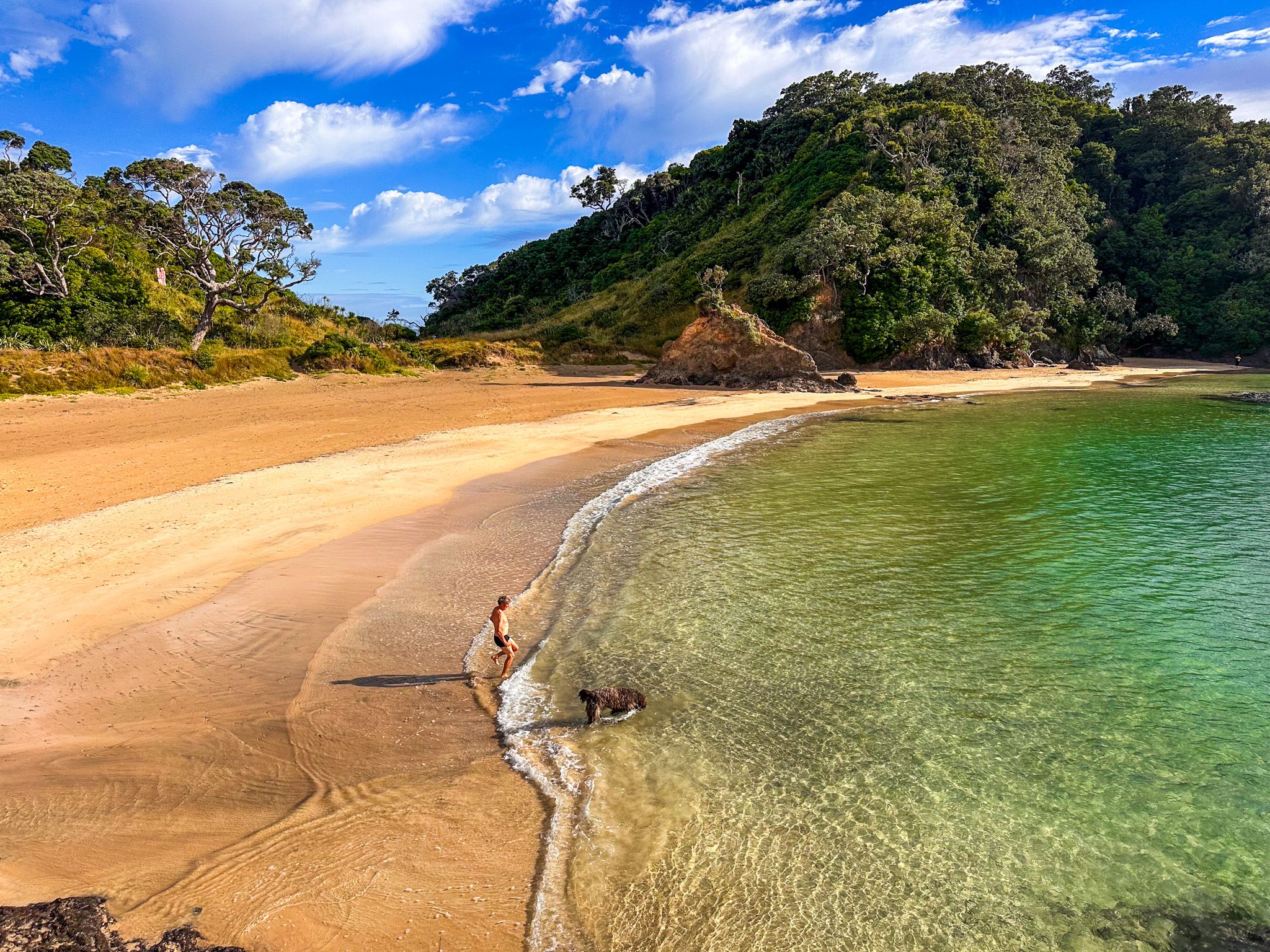 Tutukākā Coast