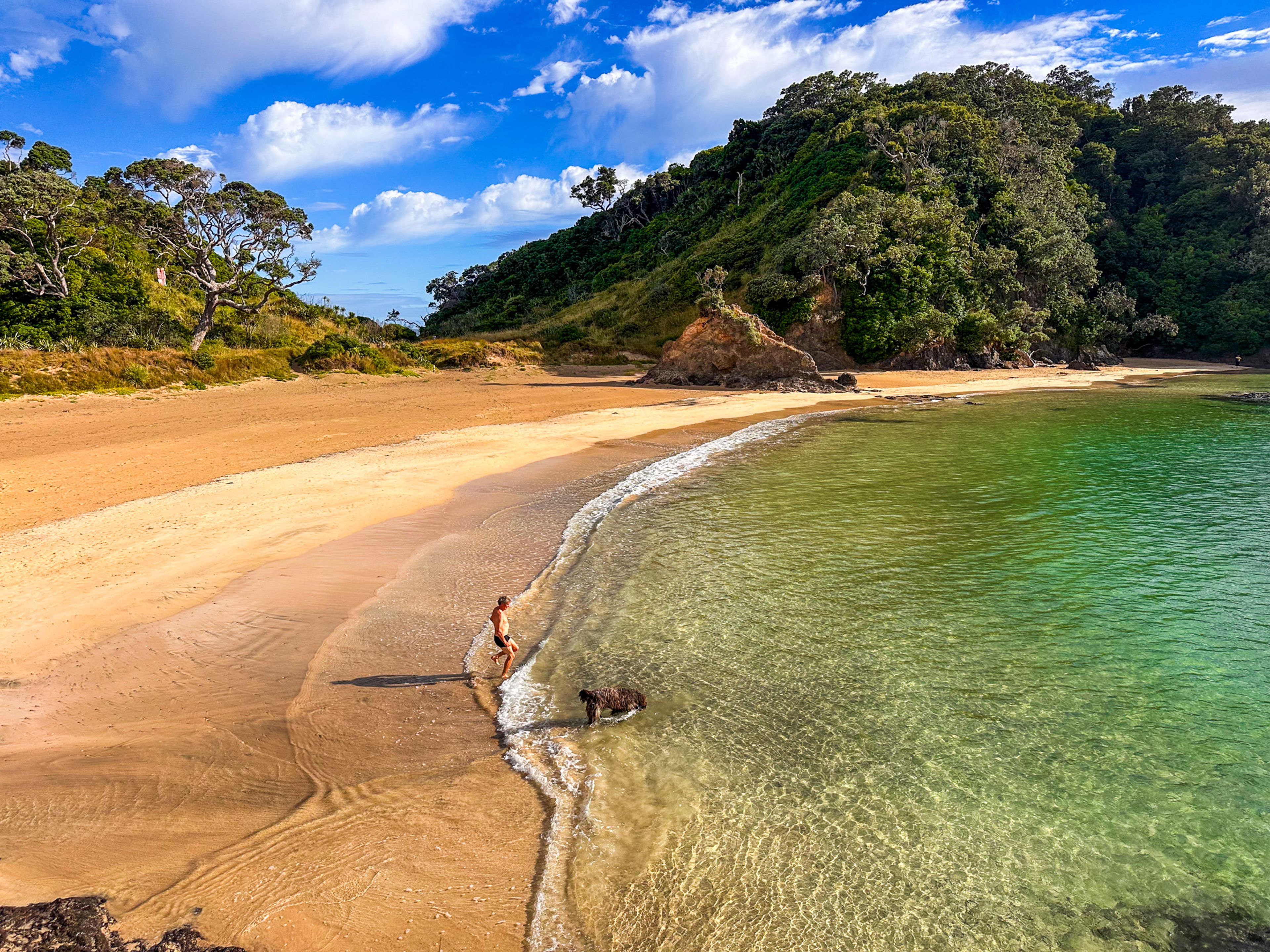 Tutukākā Coast