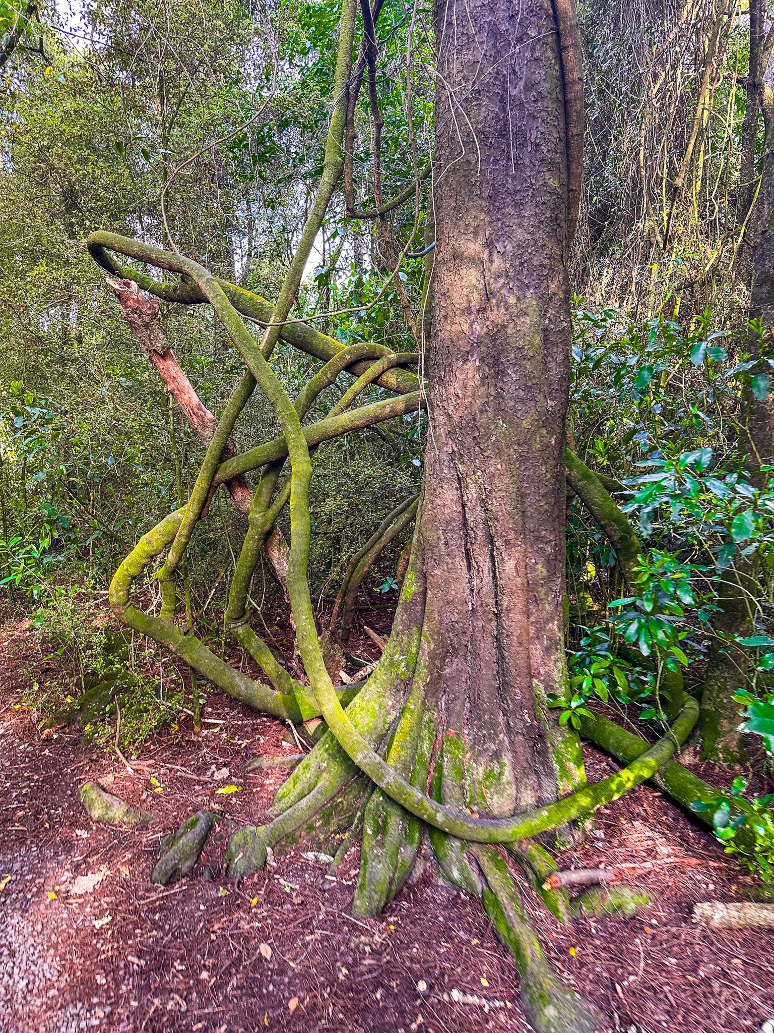 Image 7 of 10