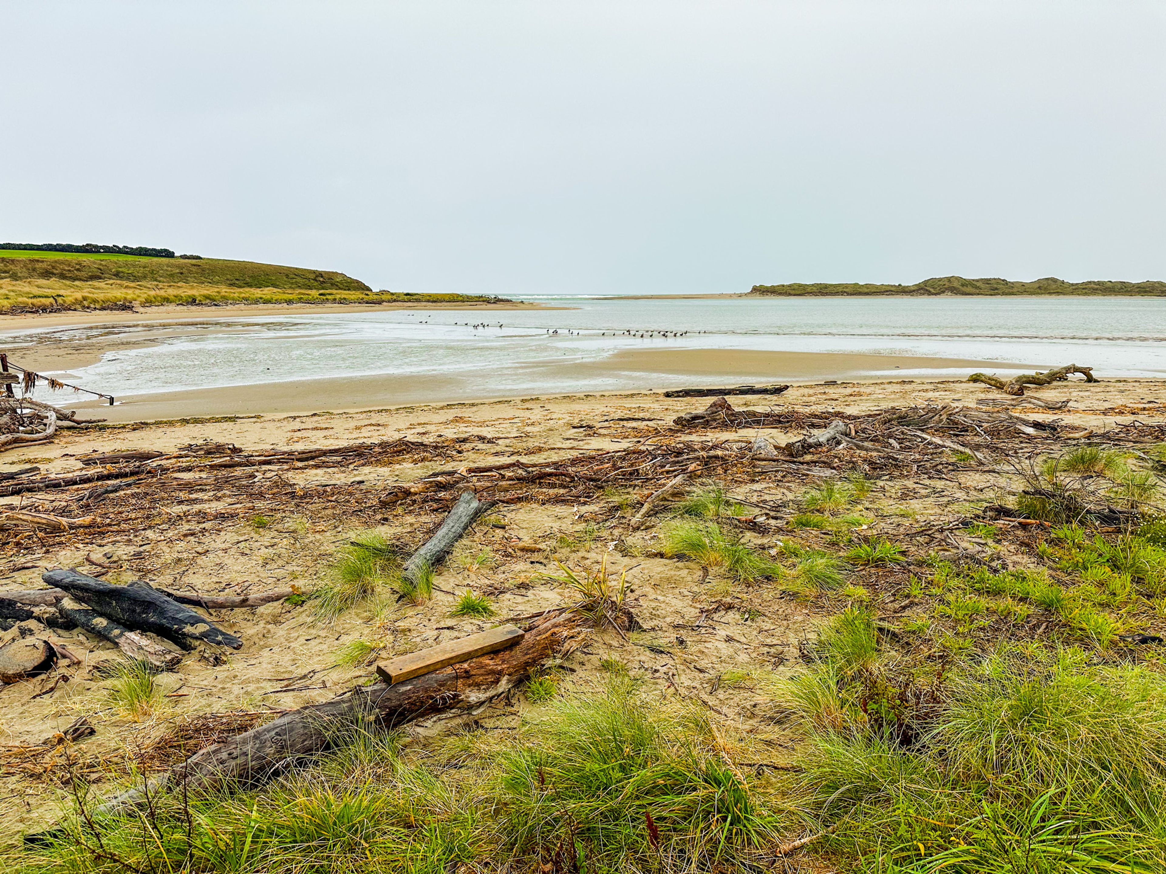 Image 9 of 10