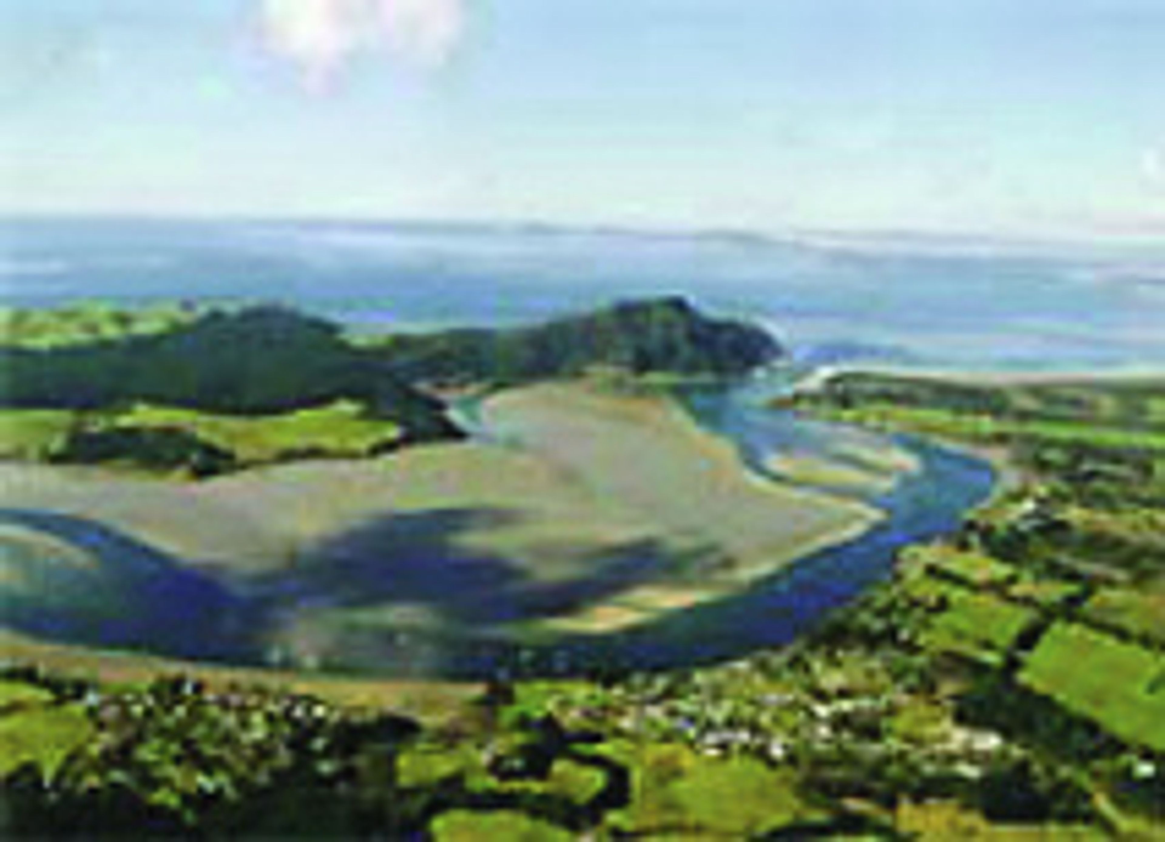 Pukenui Holiday Park