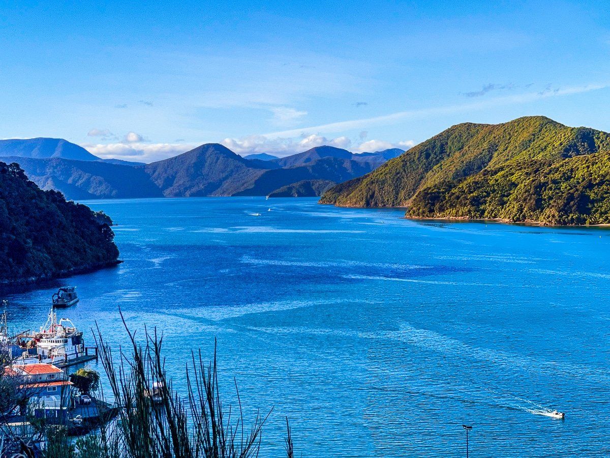 Picton to Nelson on Stunning Queen Charlotte Drive Blog New Zealand Trip Ideas