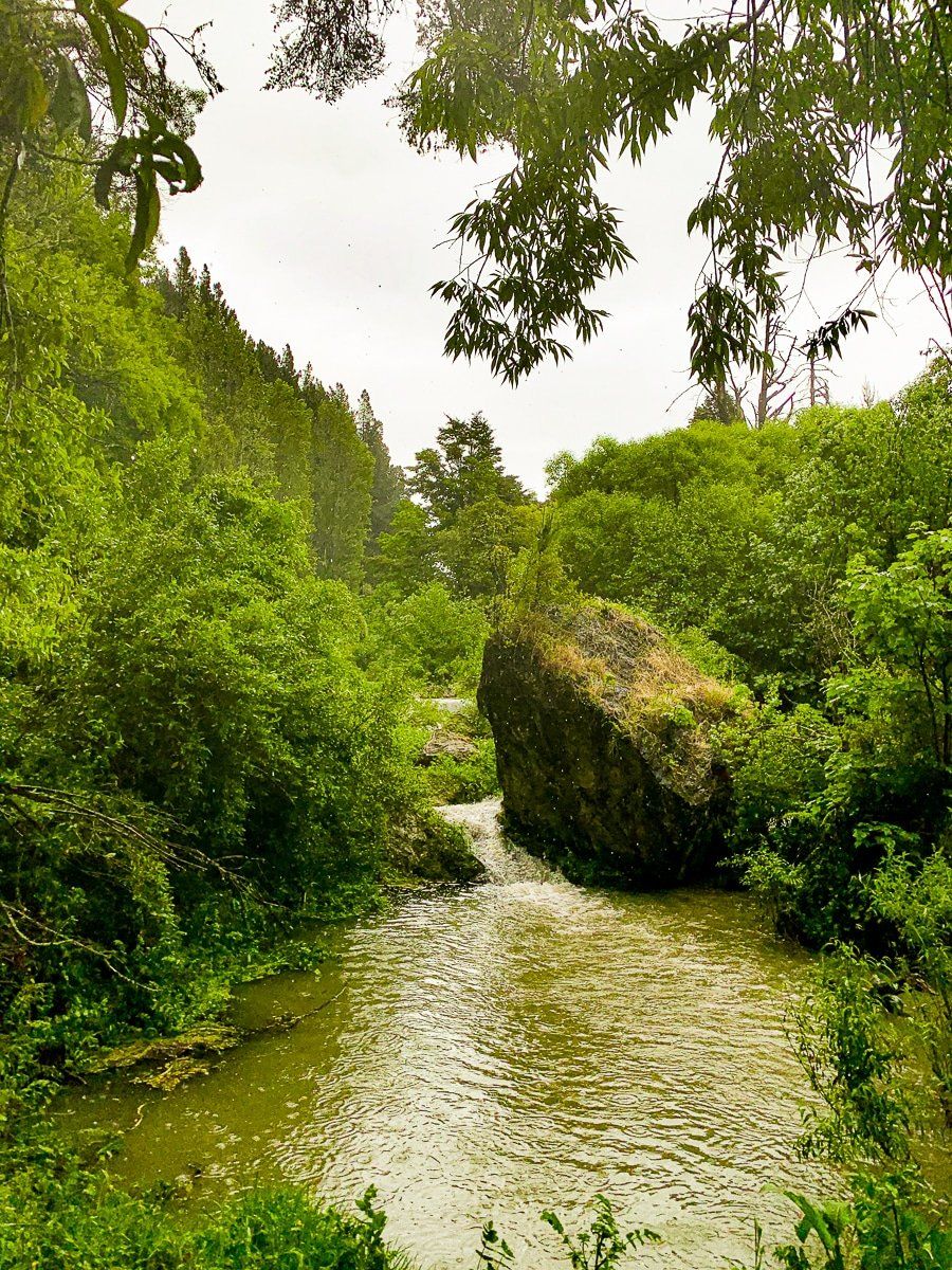 Image 7 of 7