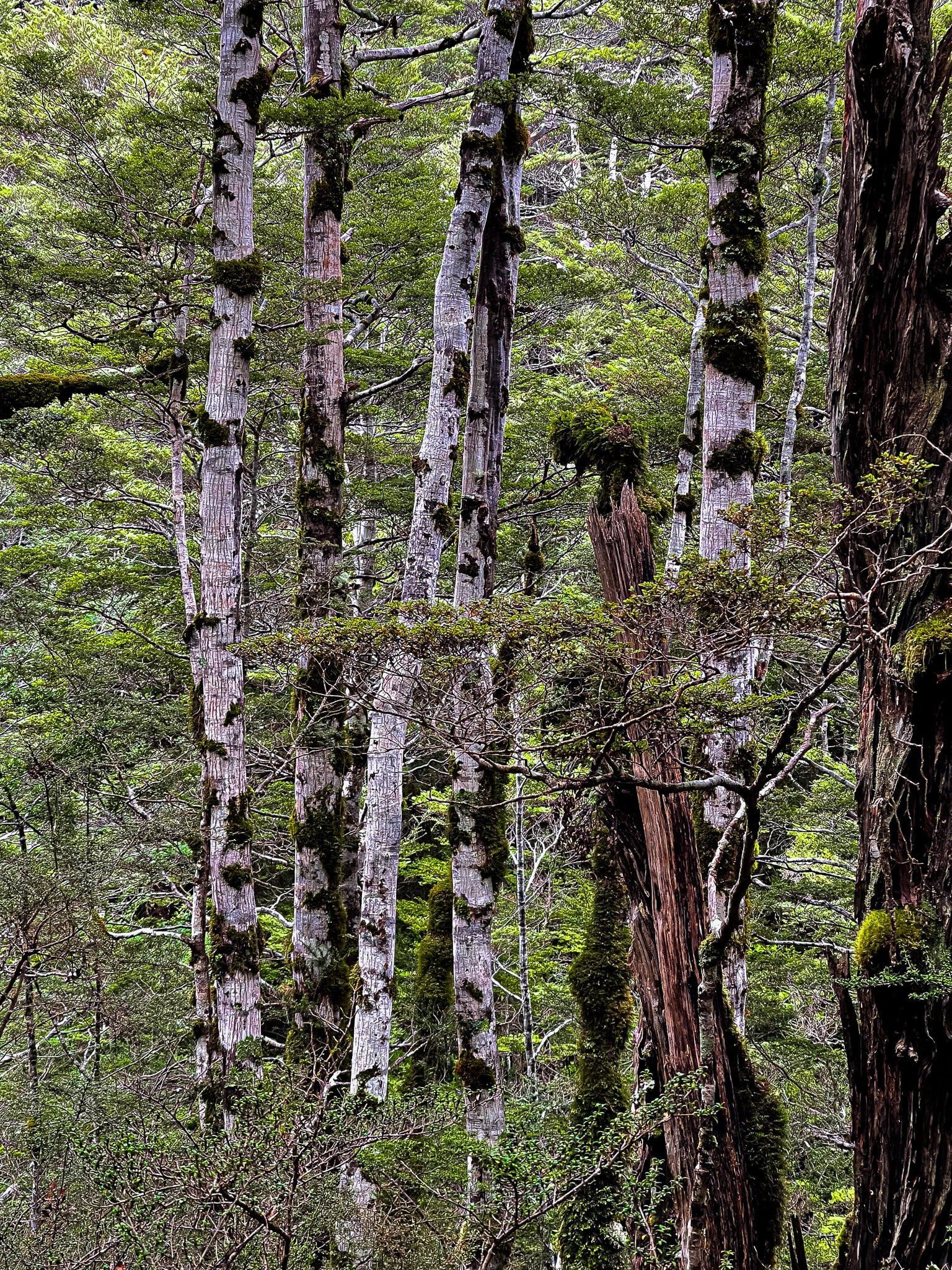 Image 8 of 11