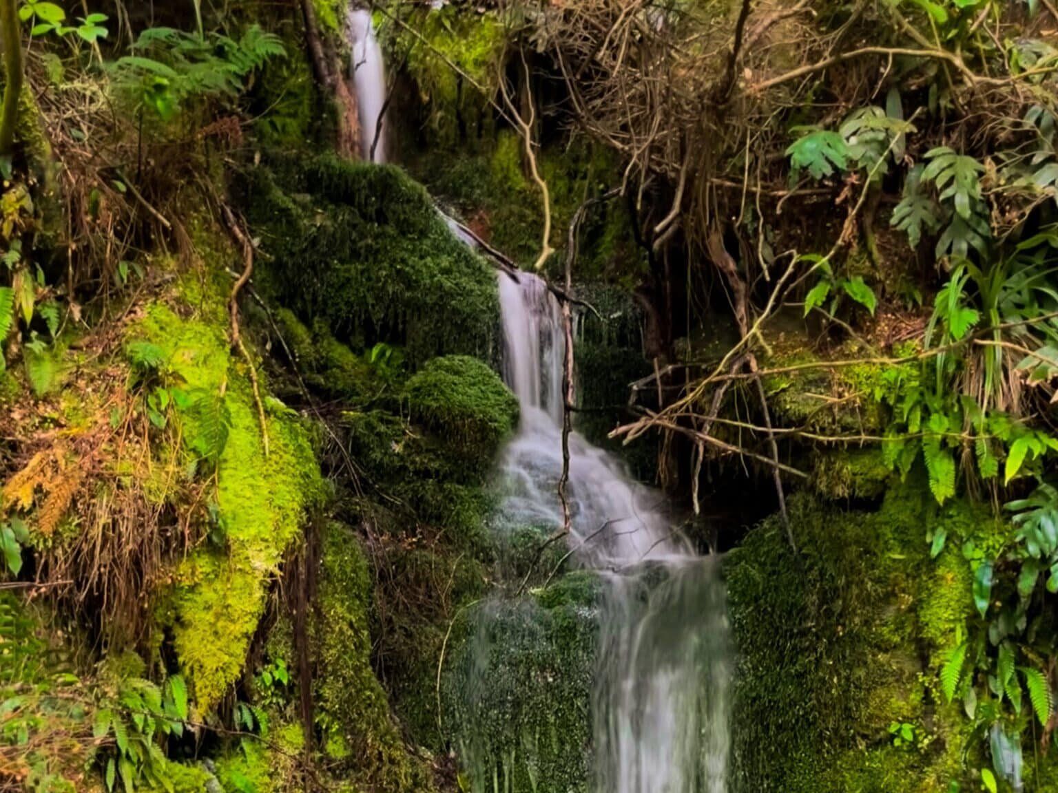 Waipori Falls