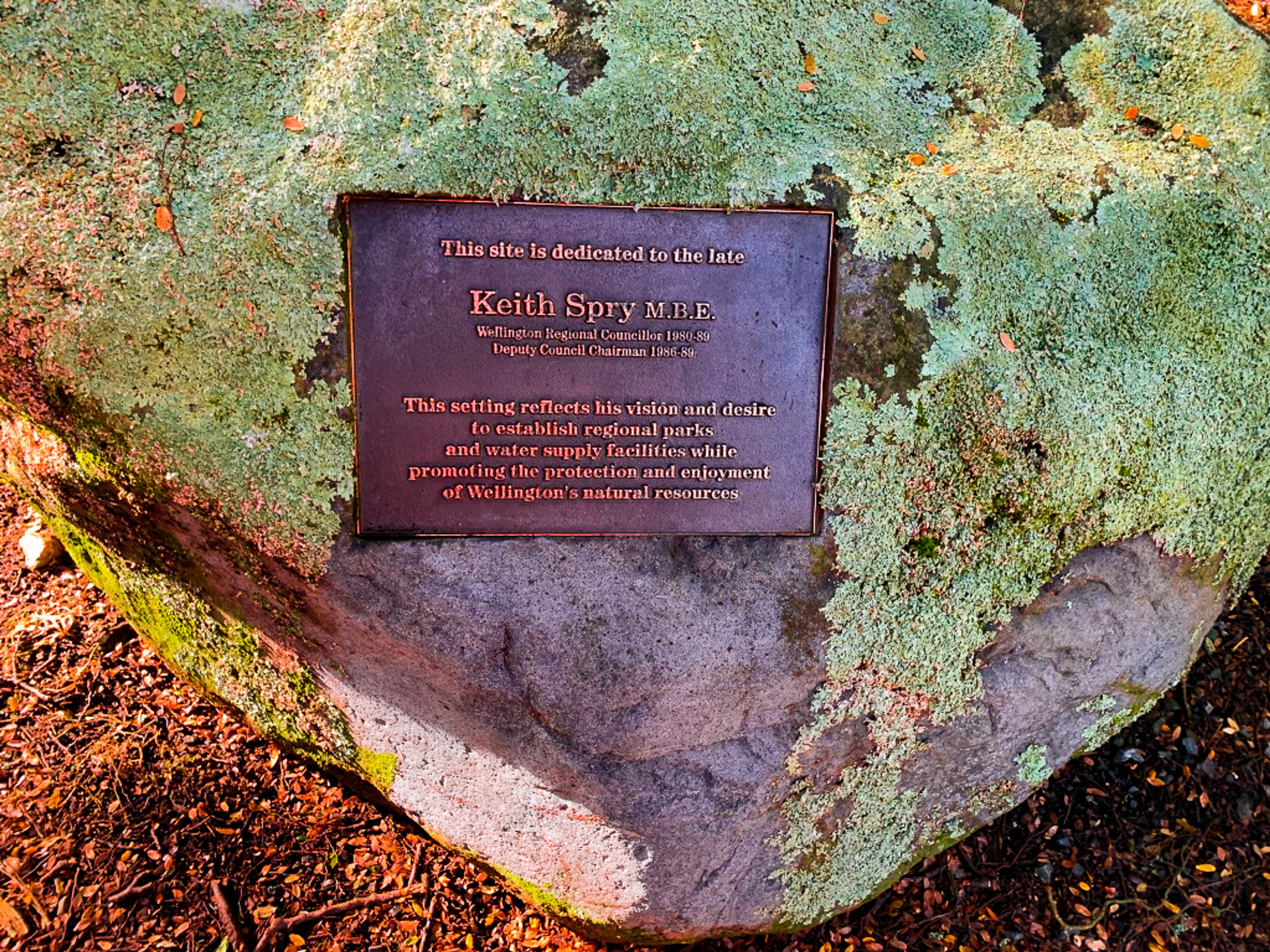 Image 8 of 8
