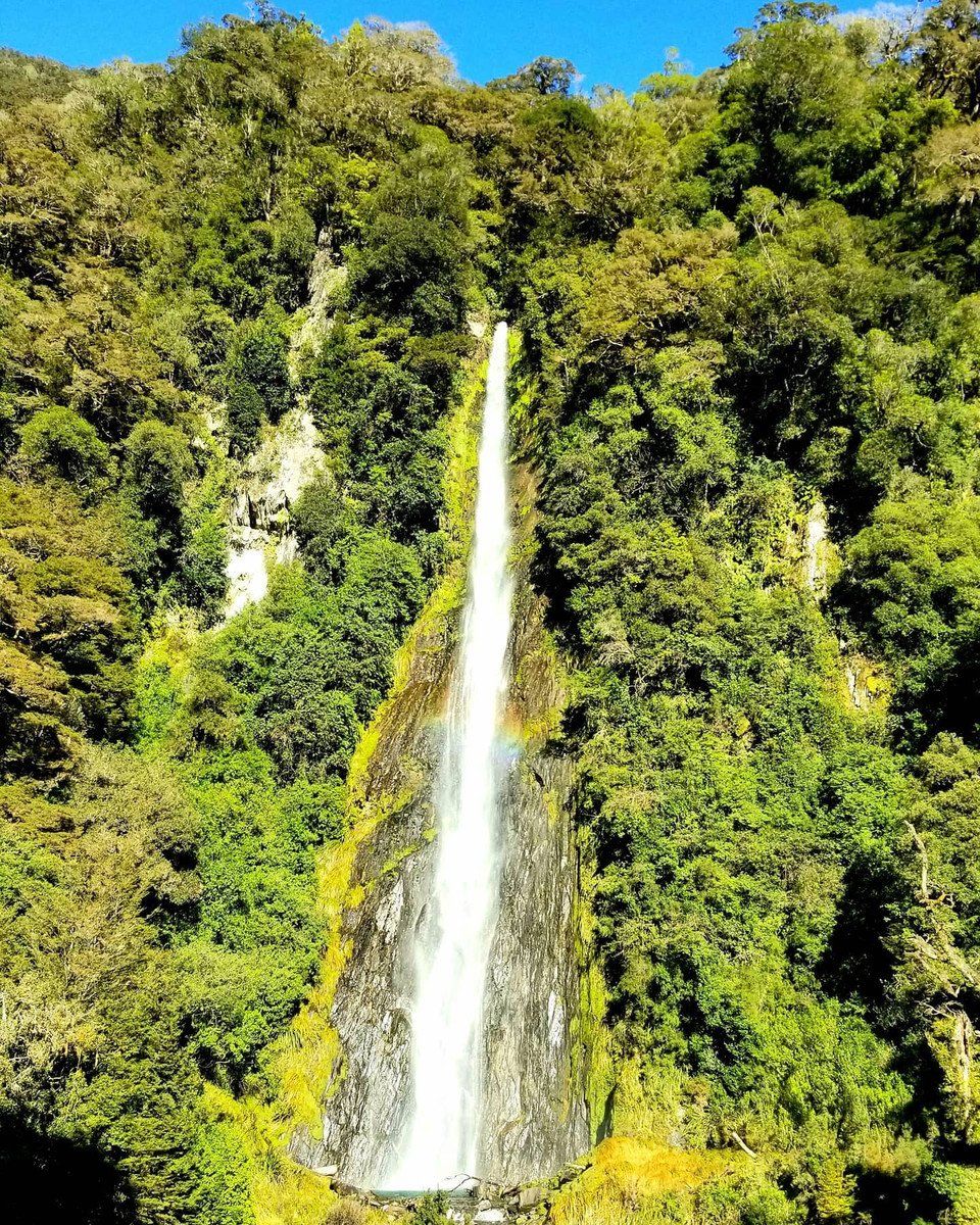 Image 3 of 4