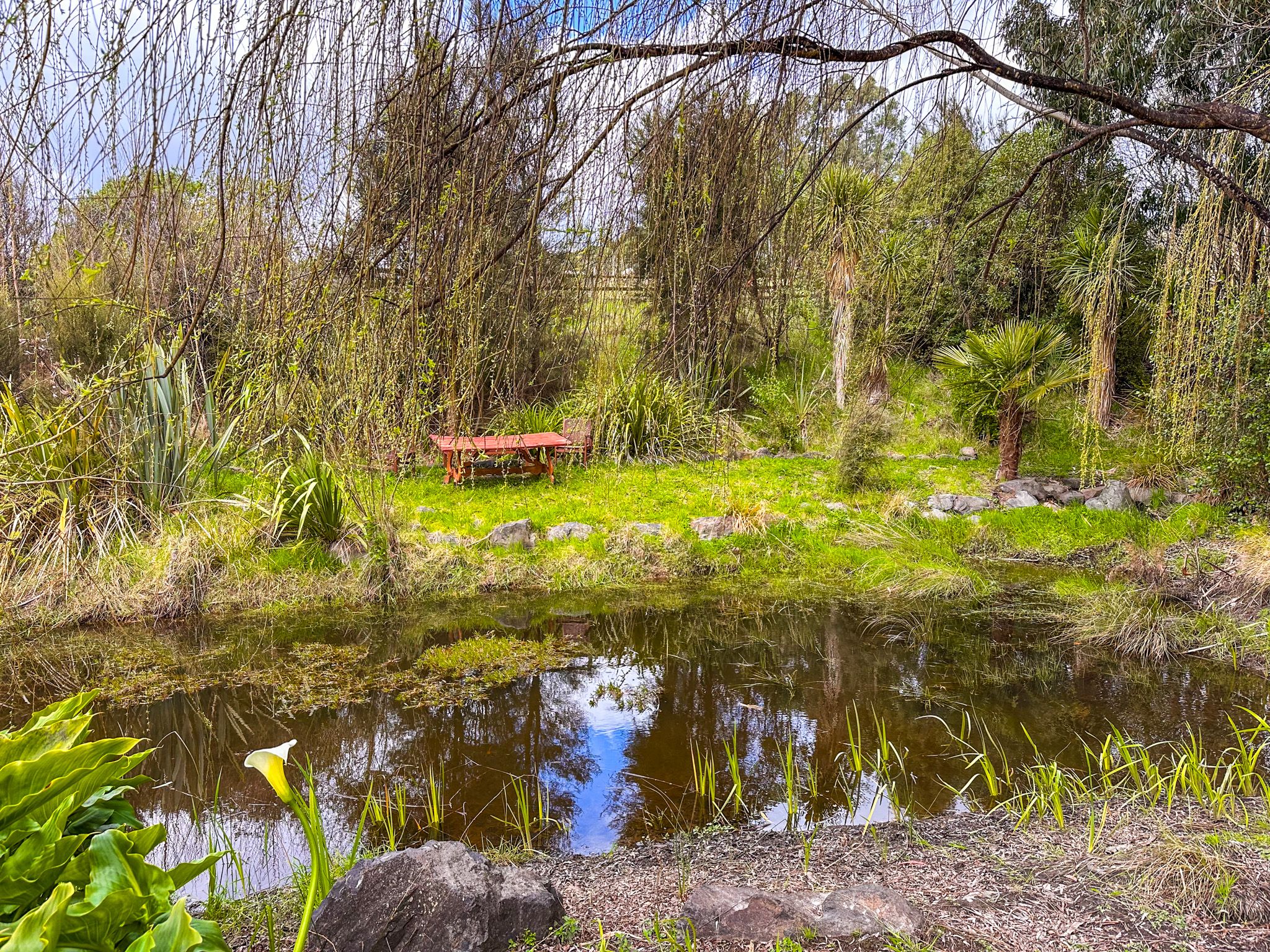 Image 7 of 10