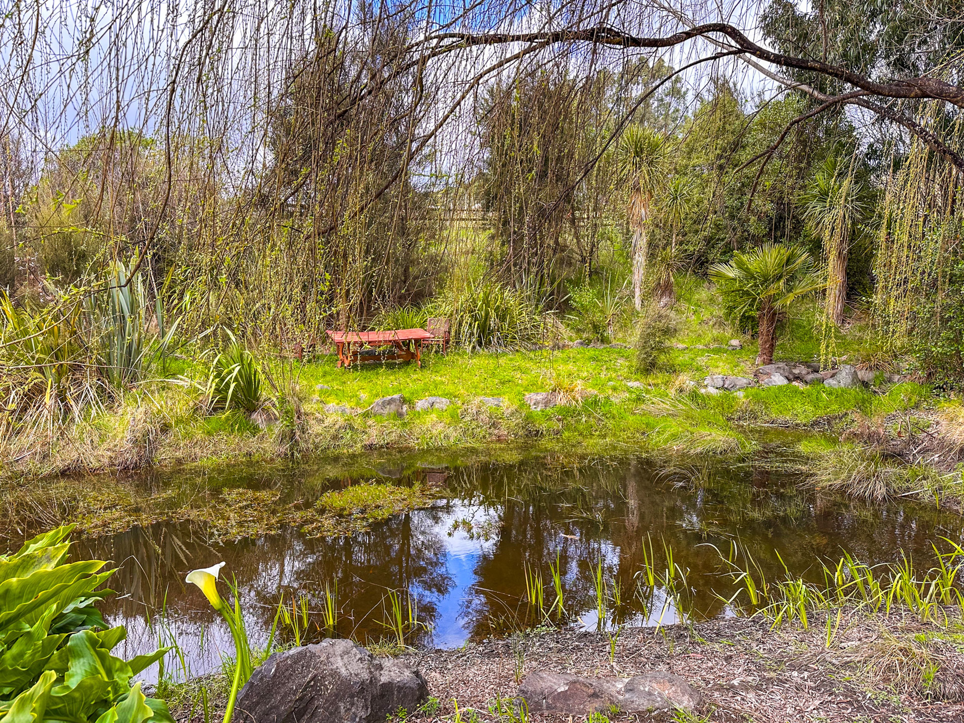 Image 7 of 10