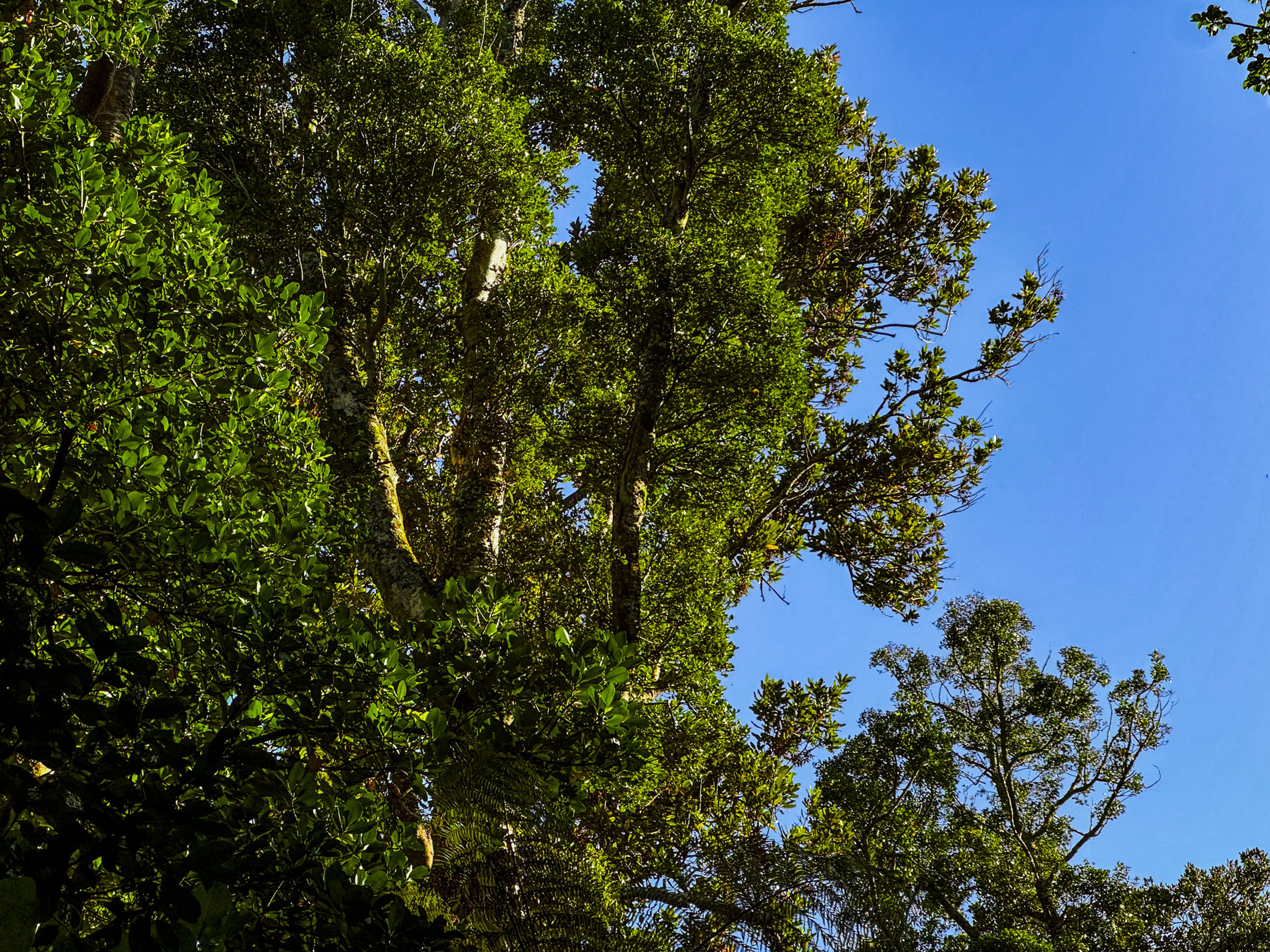 Image 6 of 10