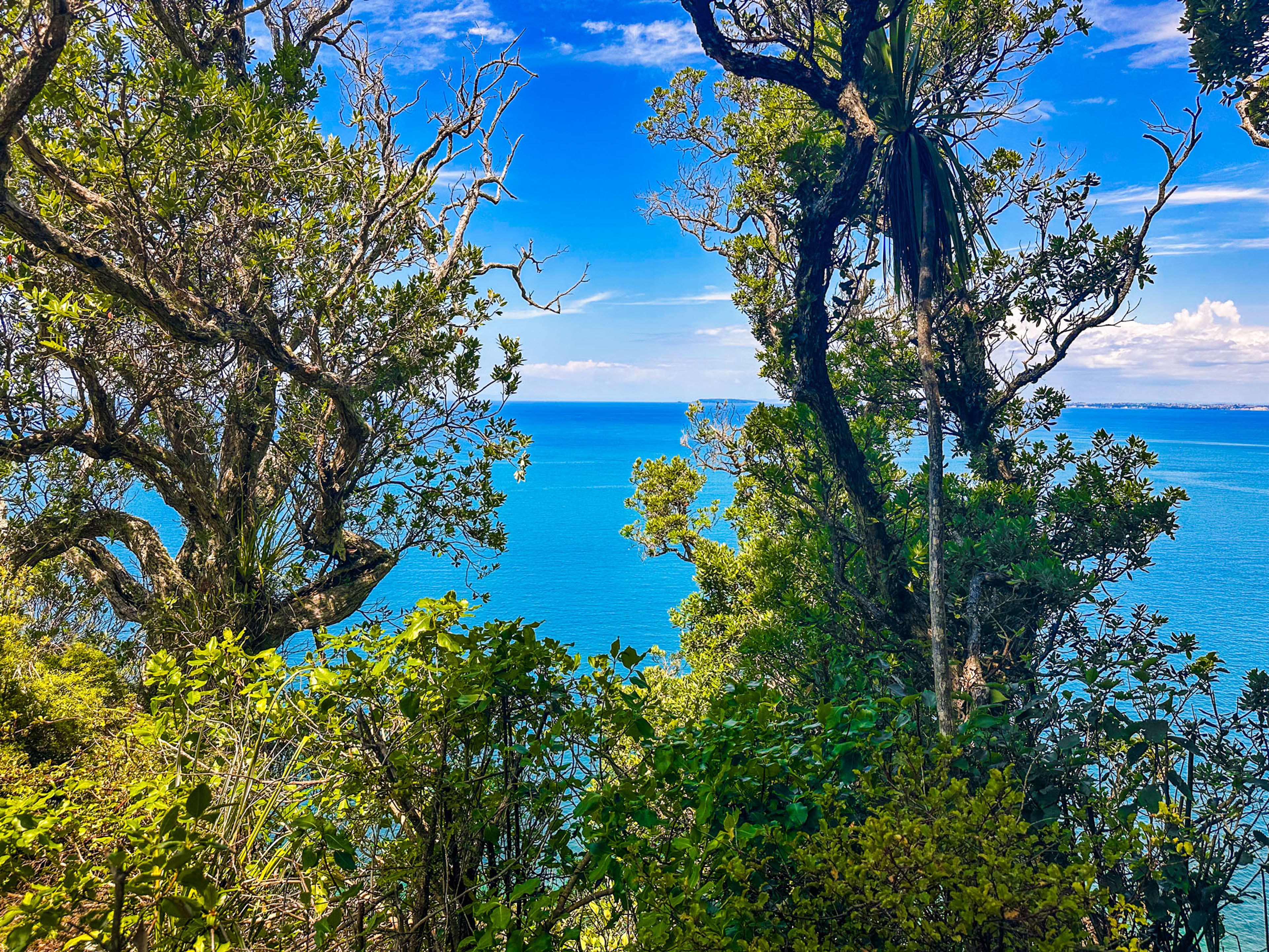 Image 7 of 10