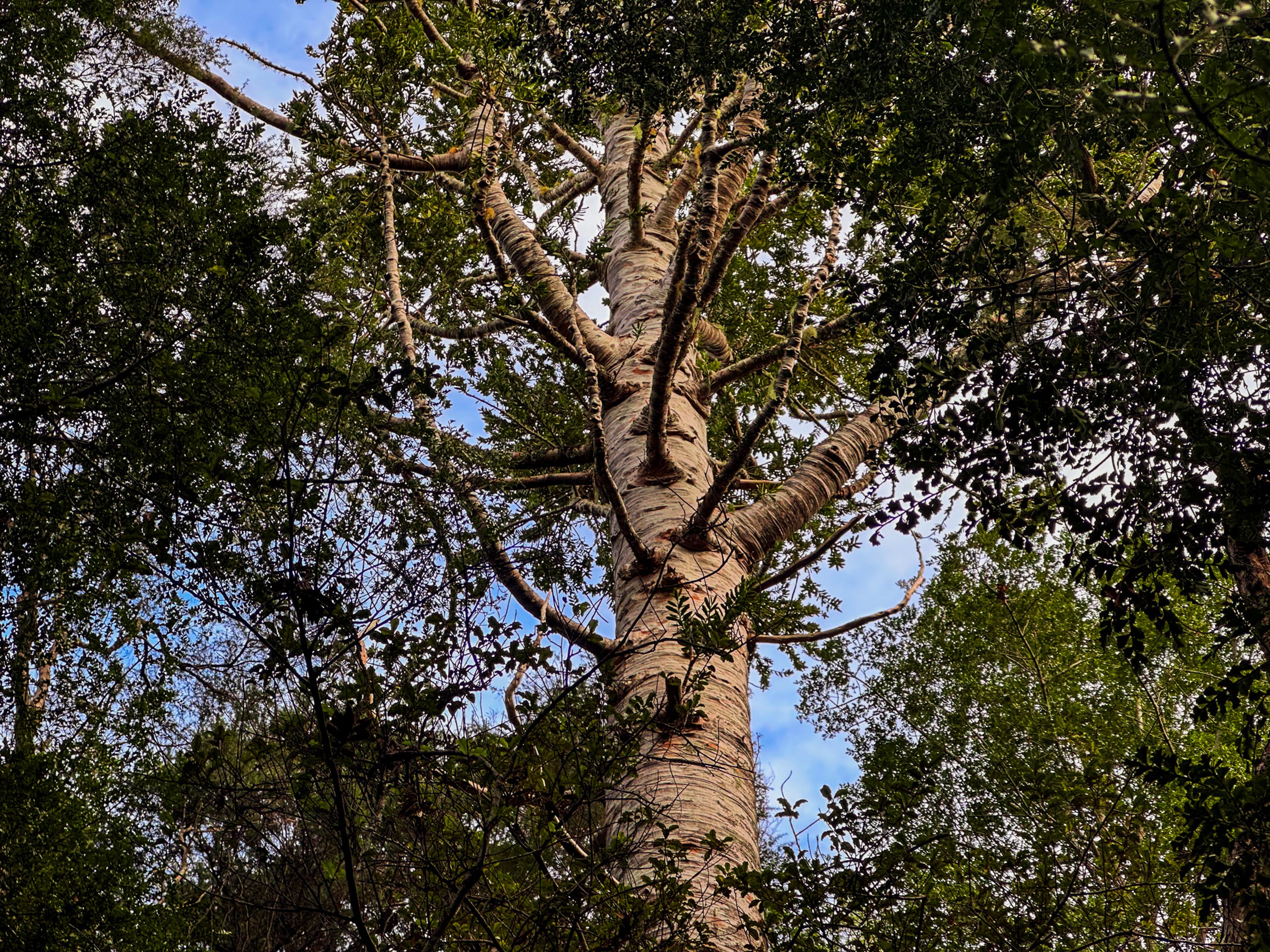 Image 5 of 10