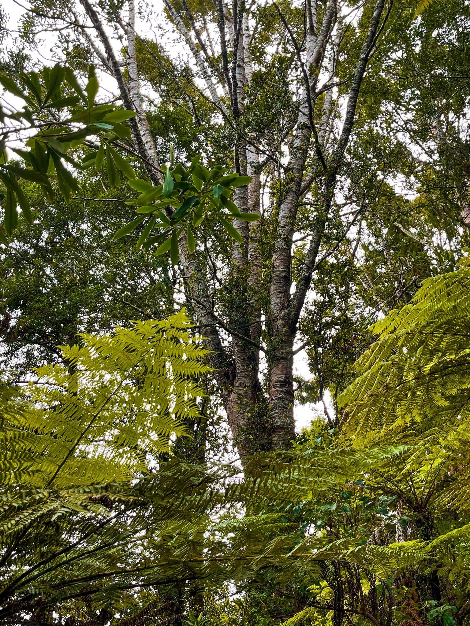 Image 9 of 11