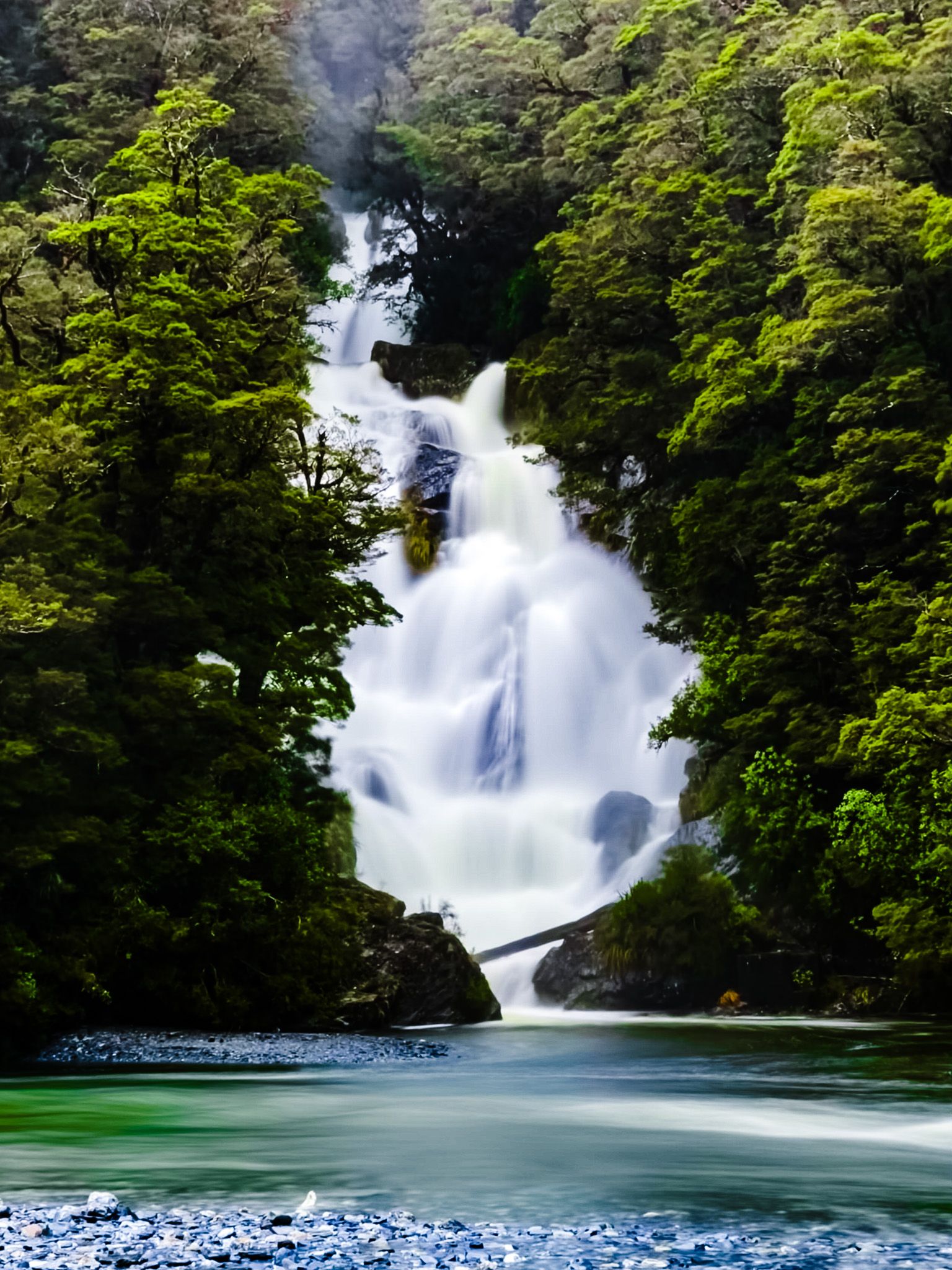 Beautiful Fantail Falls, surrounded by beech trees