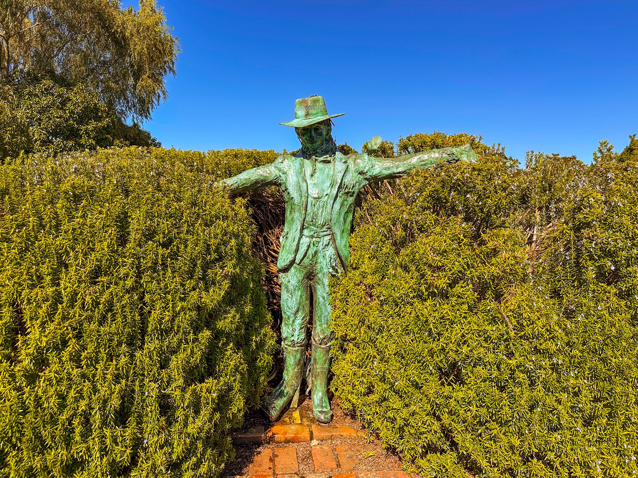Image 7 of 11