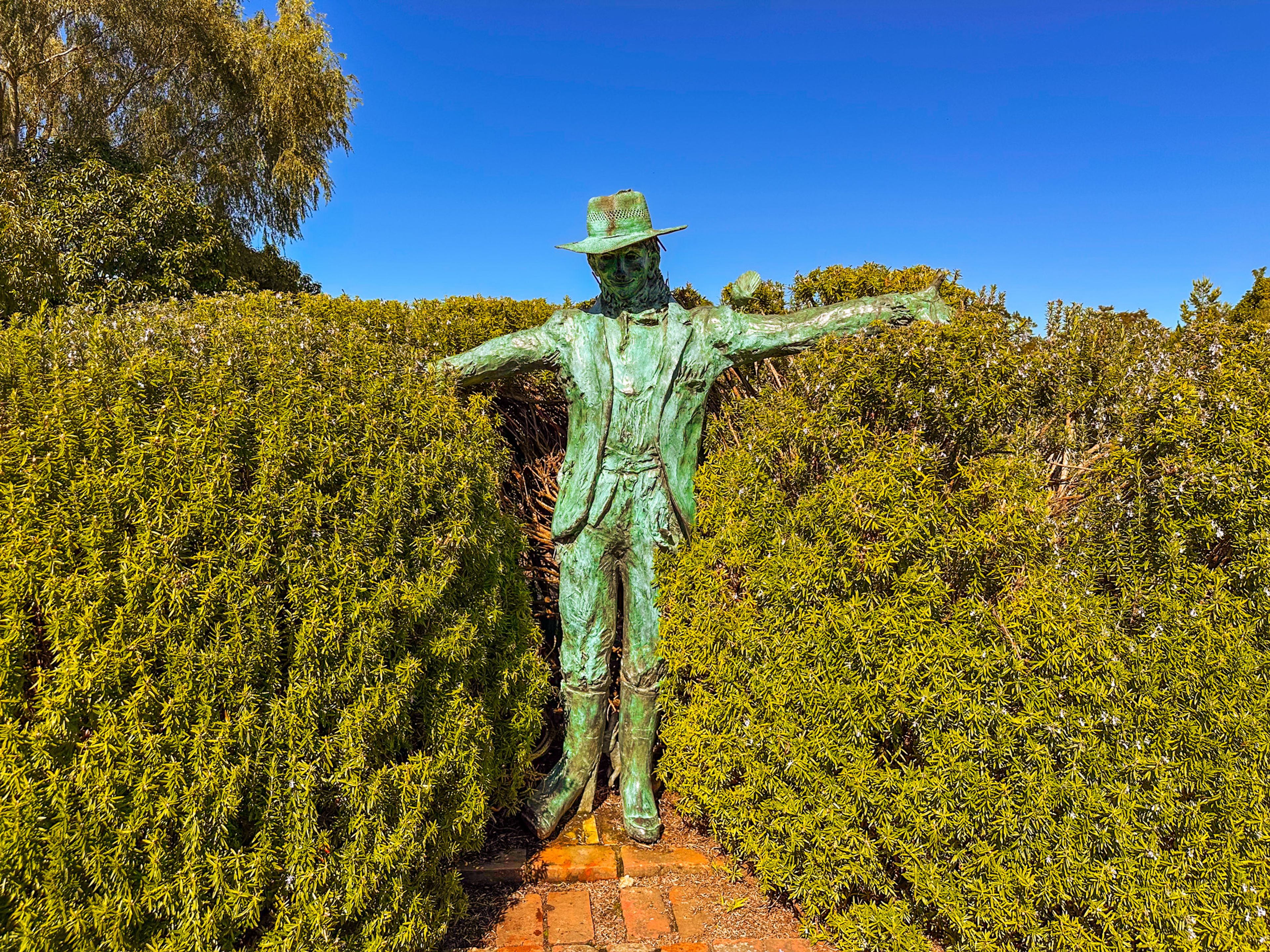 Image 7 of 11