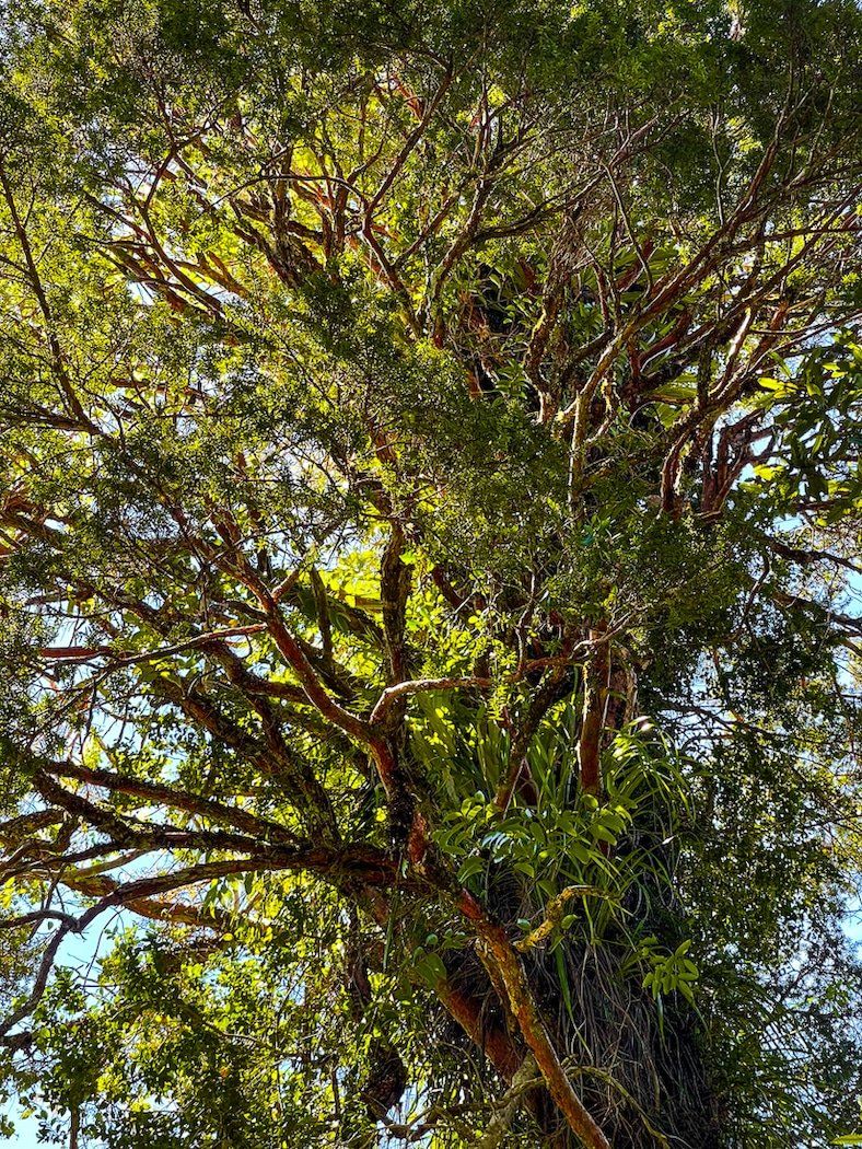 Image 6 of 10