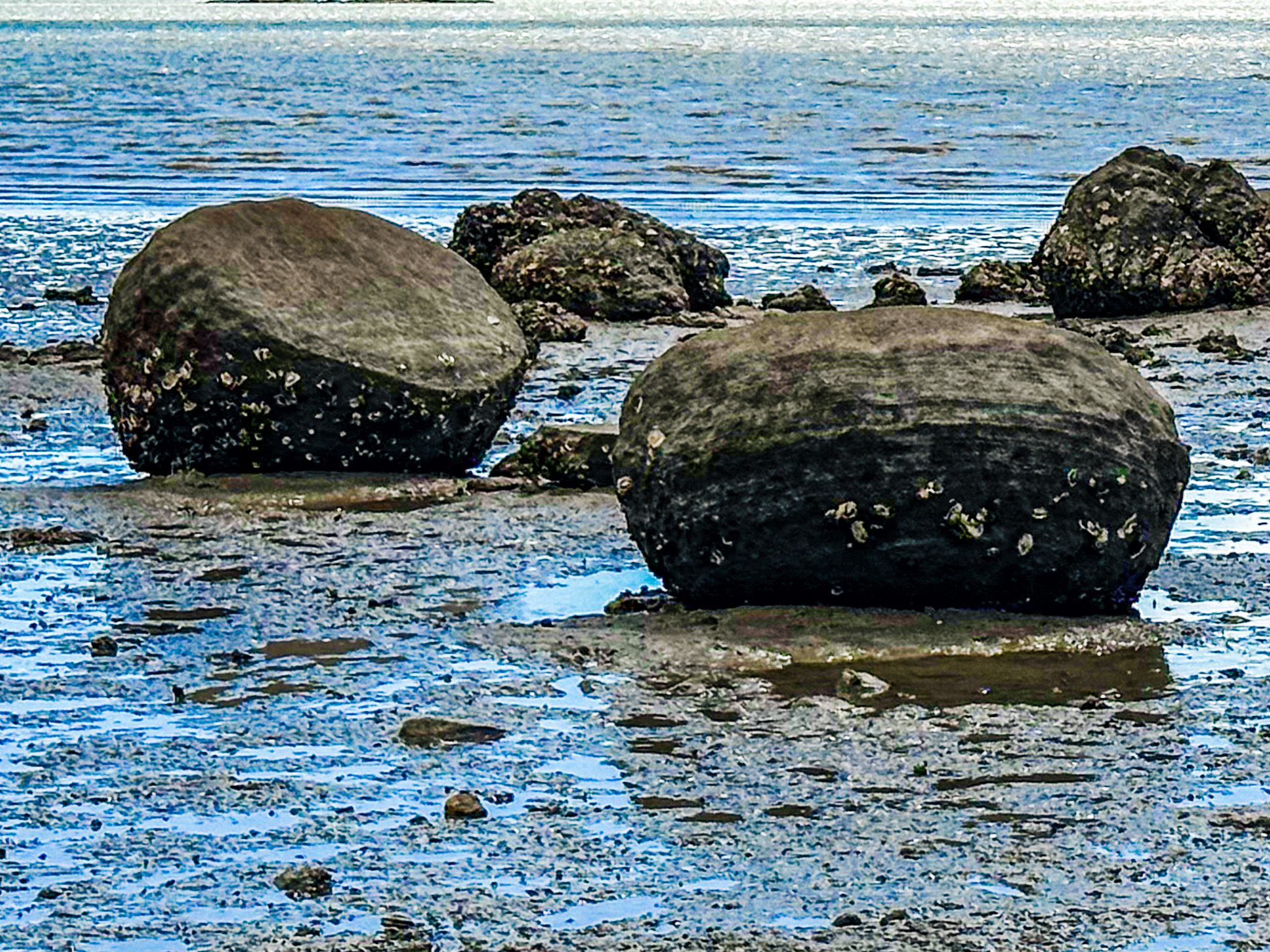 Koutu Boulders