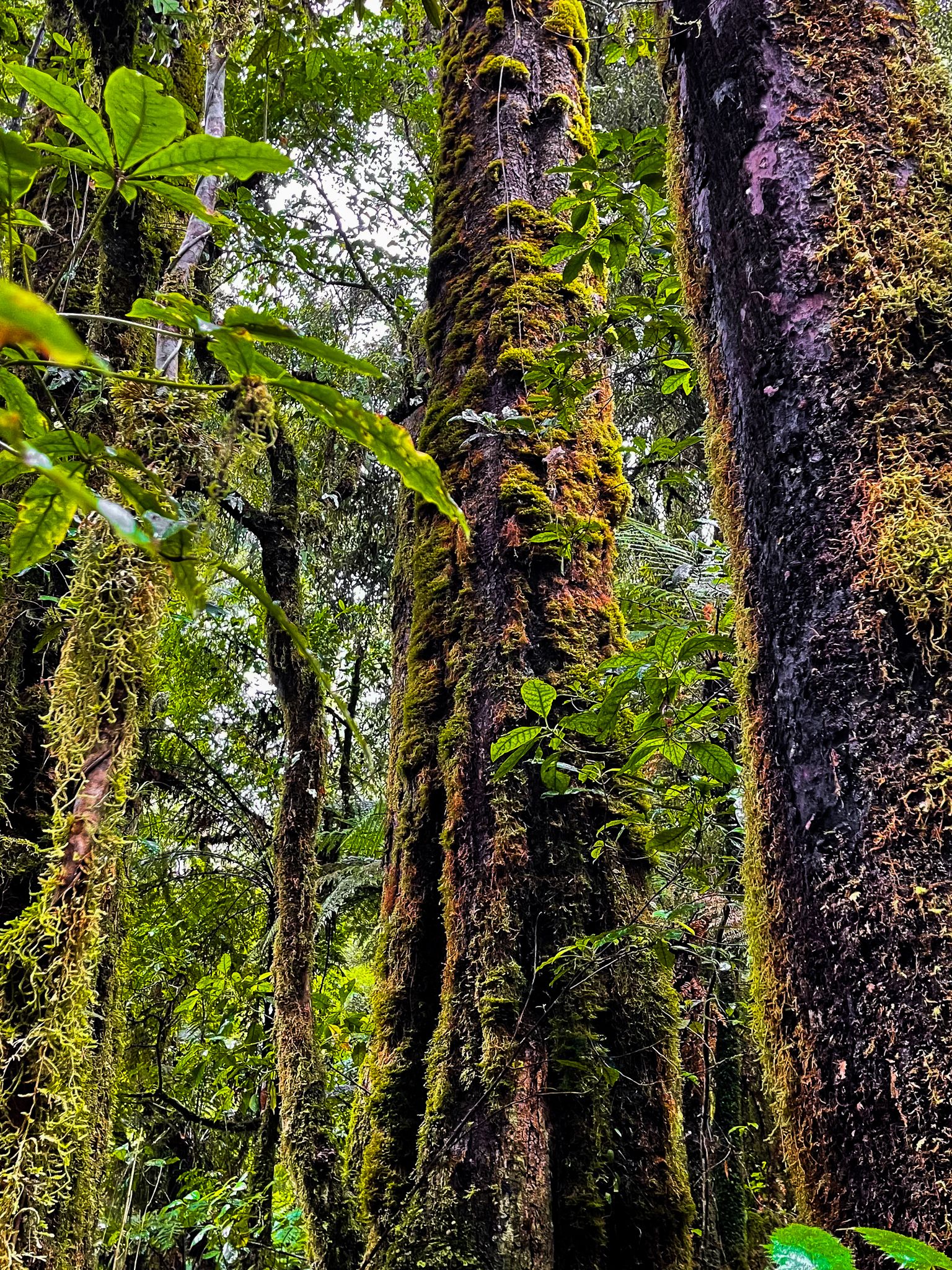 Image 7 of 10