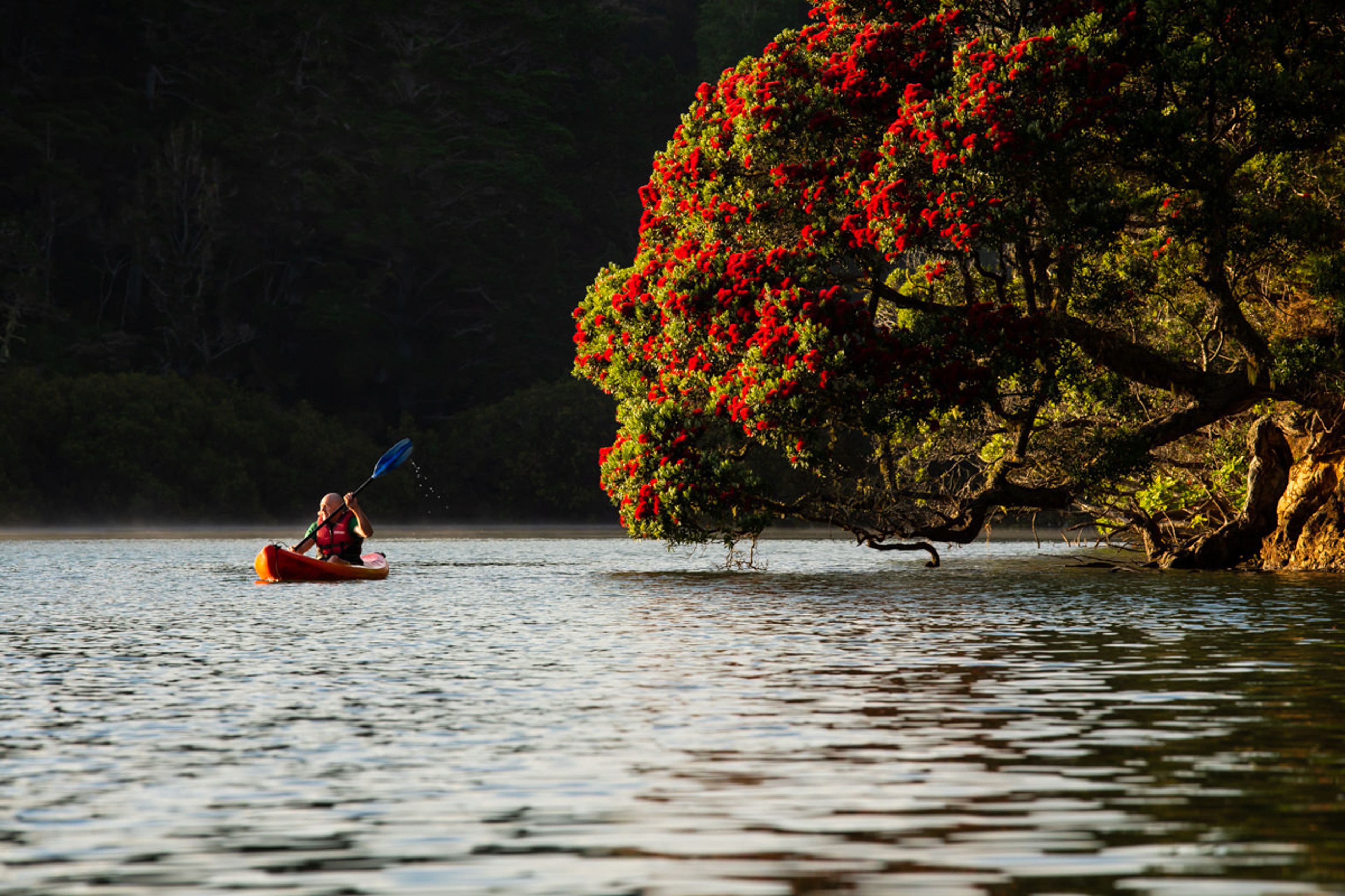 Paihia TOP 10 Holiday Park