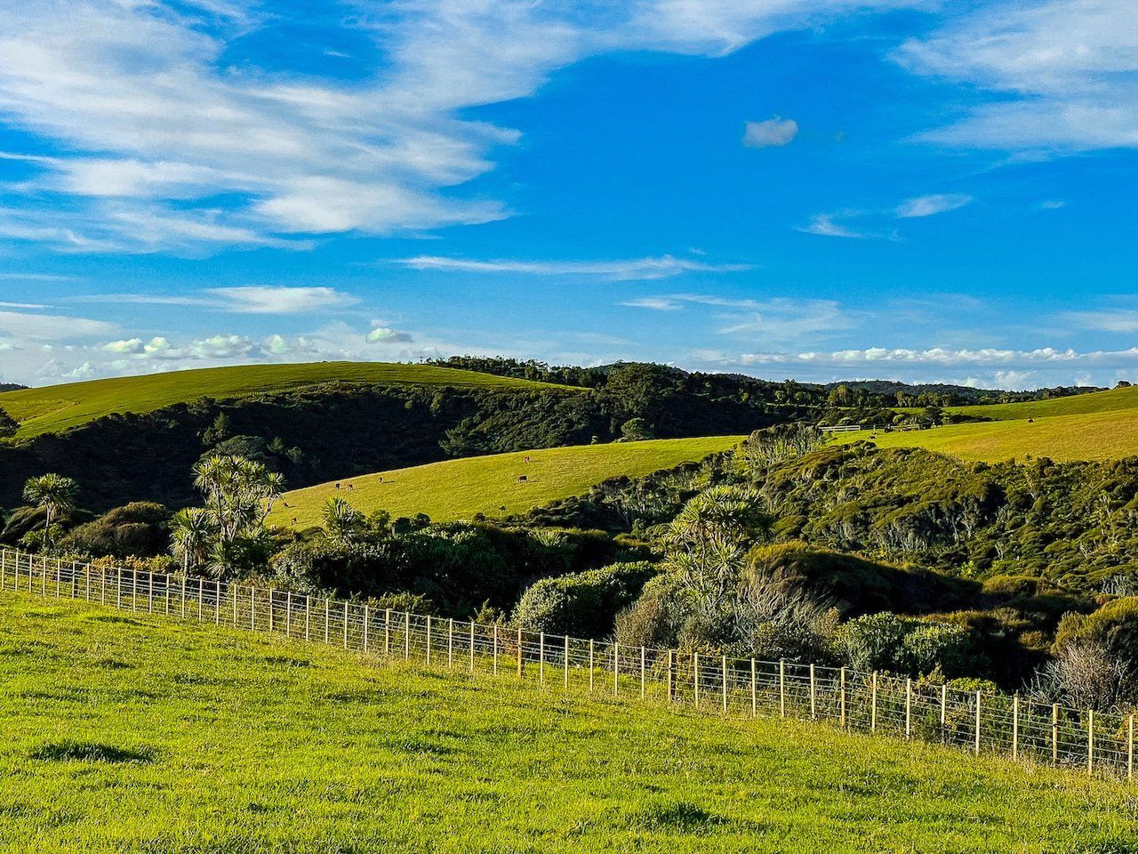 Image 2 of 7