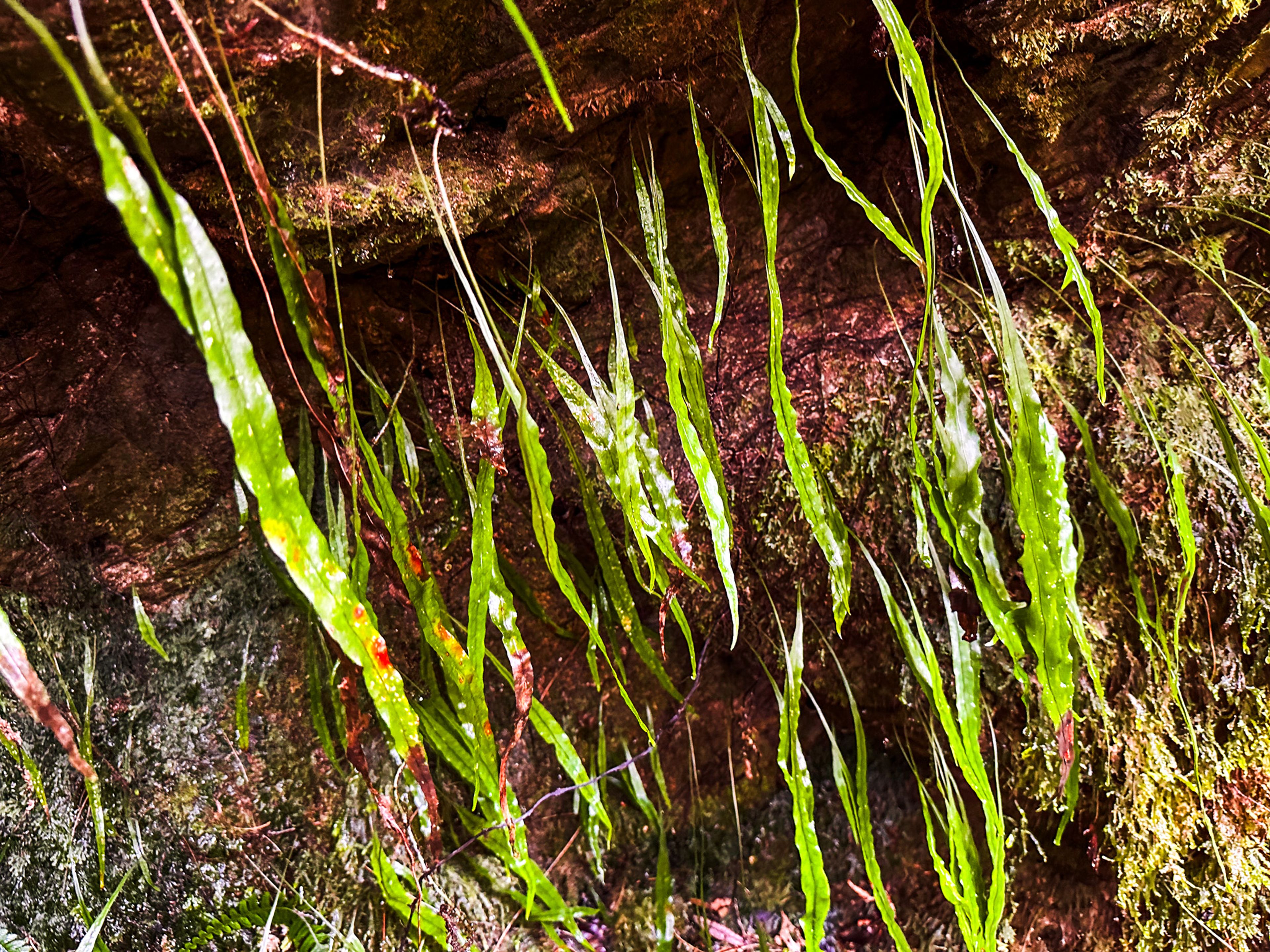 Image 9 of 10
