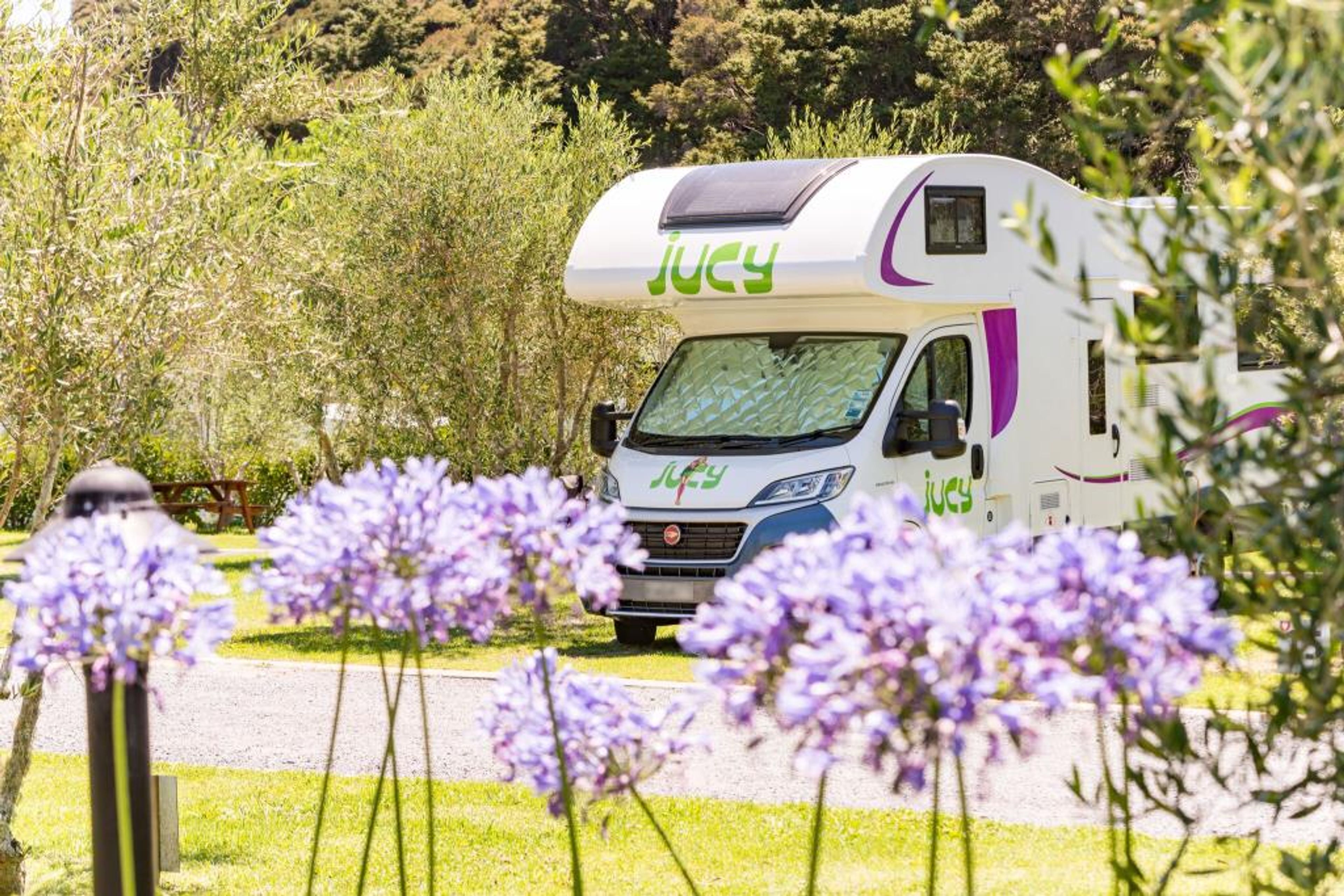 Bay of Islands Campervan Park